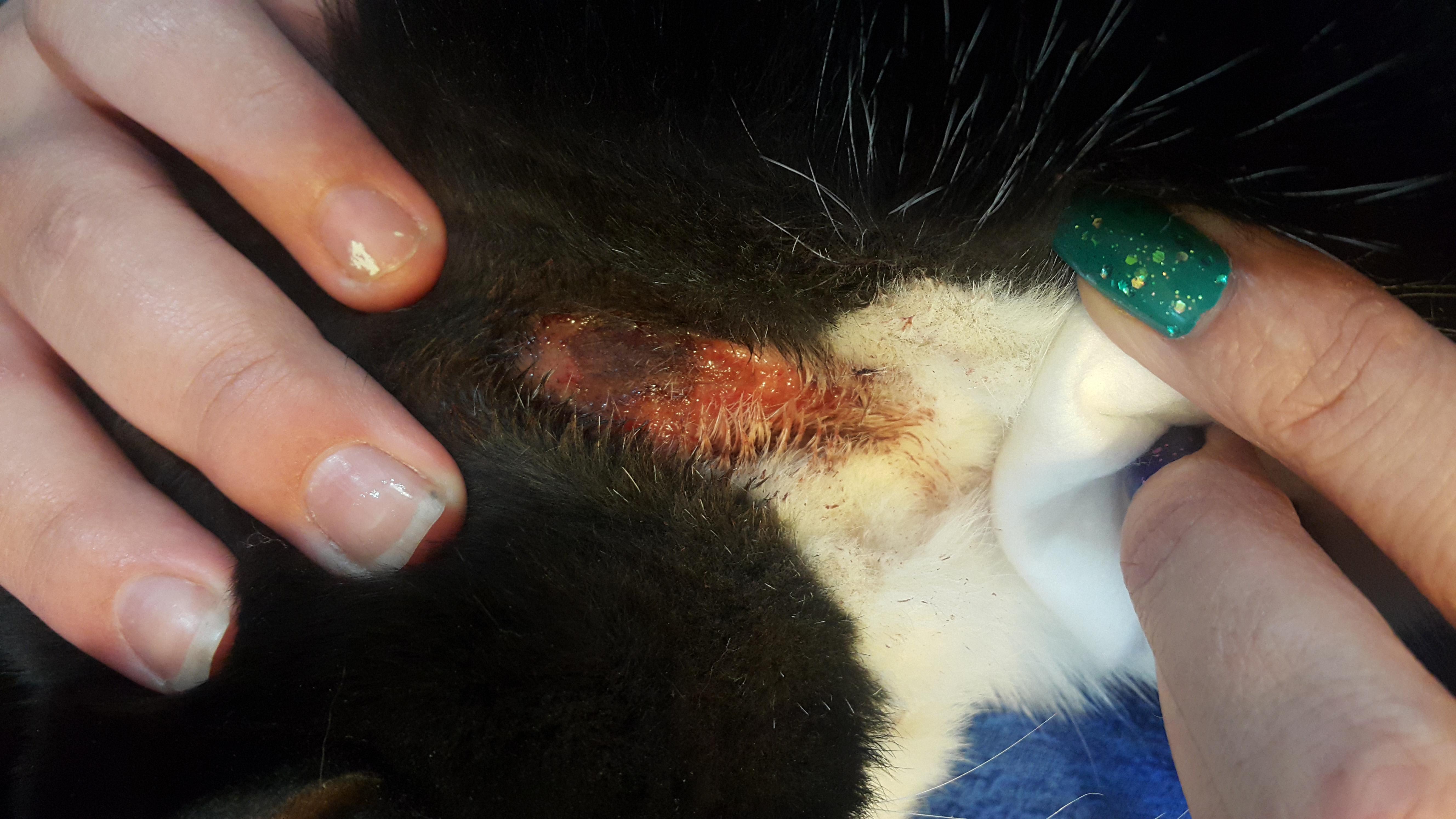 Question details sensitive content