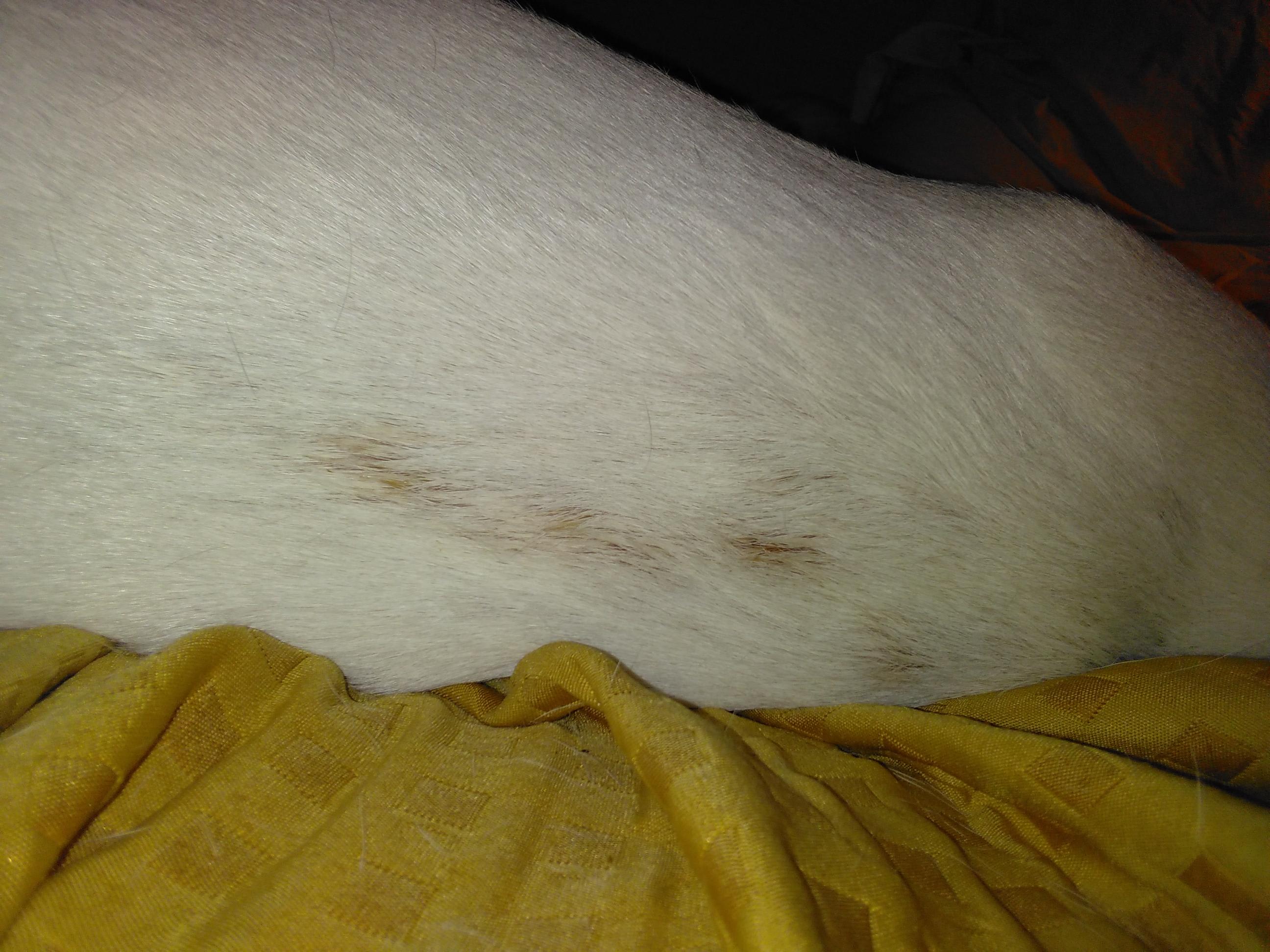 Question details sensitive content