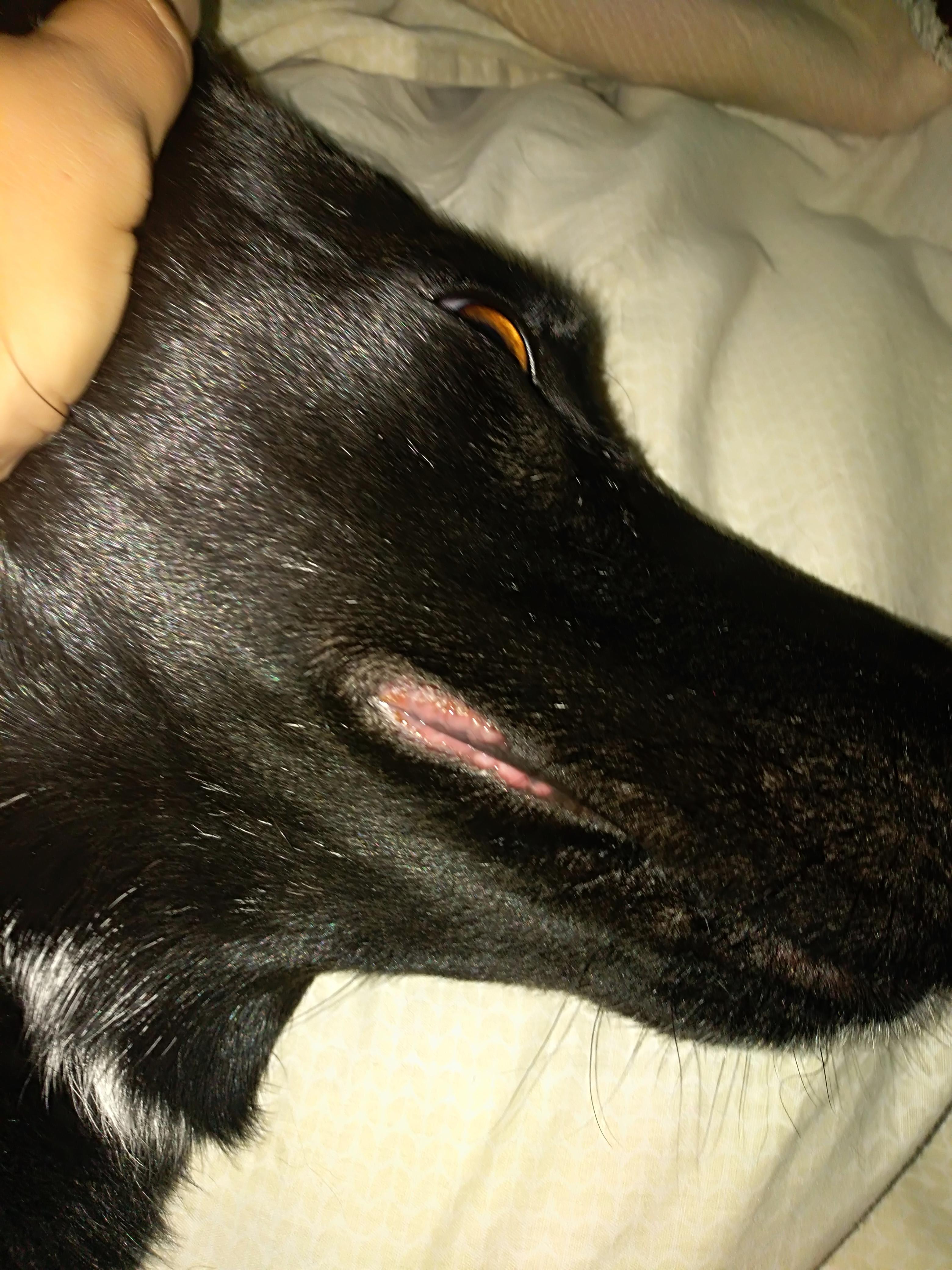 Question details sensitive content