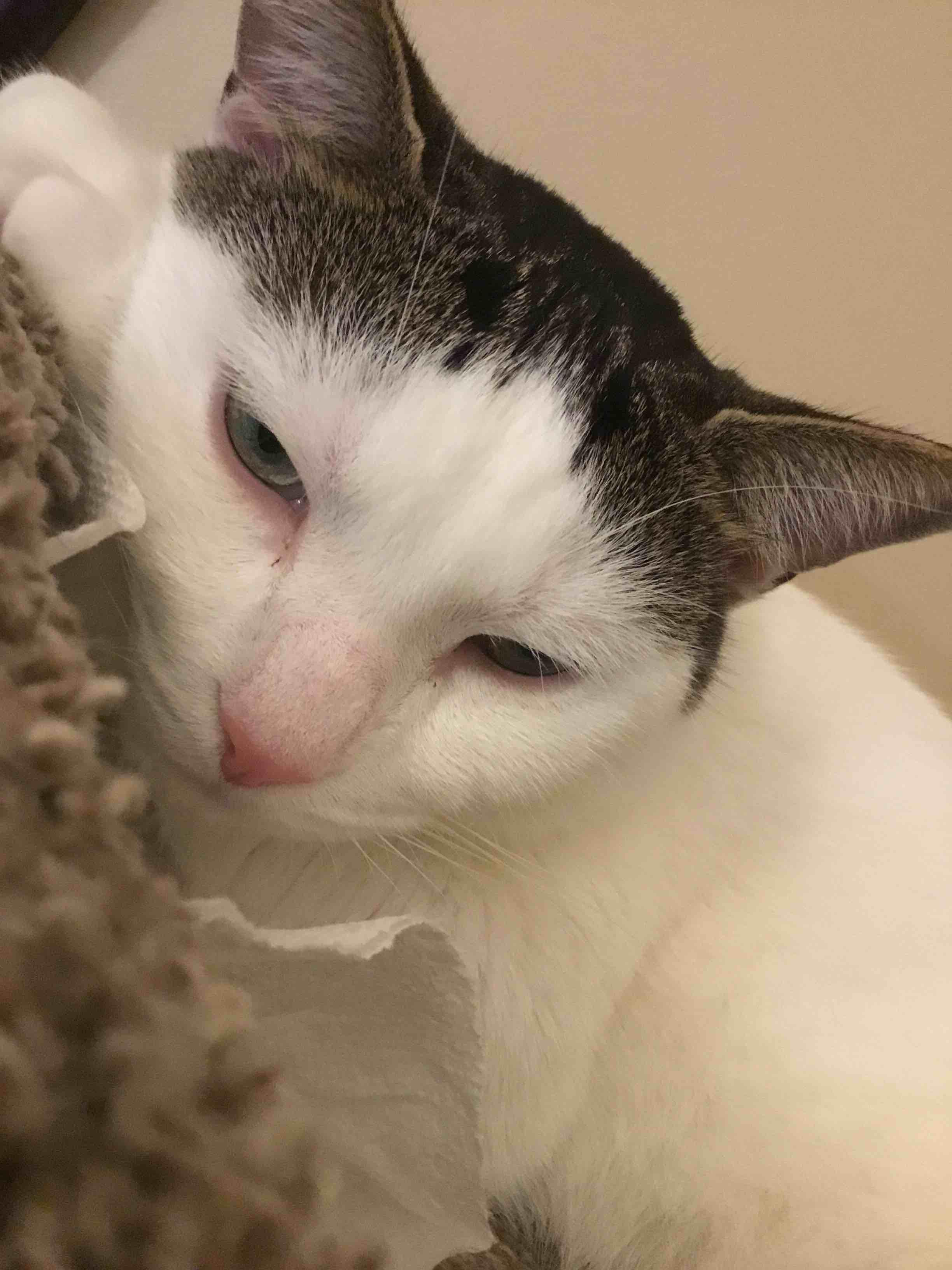 Question details sensitive content