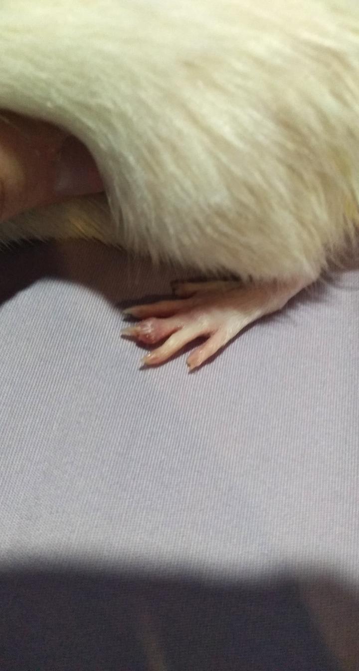 Question details sensitive content