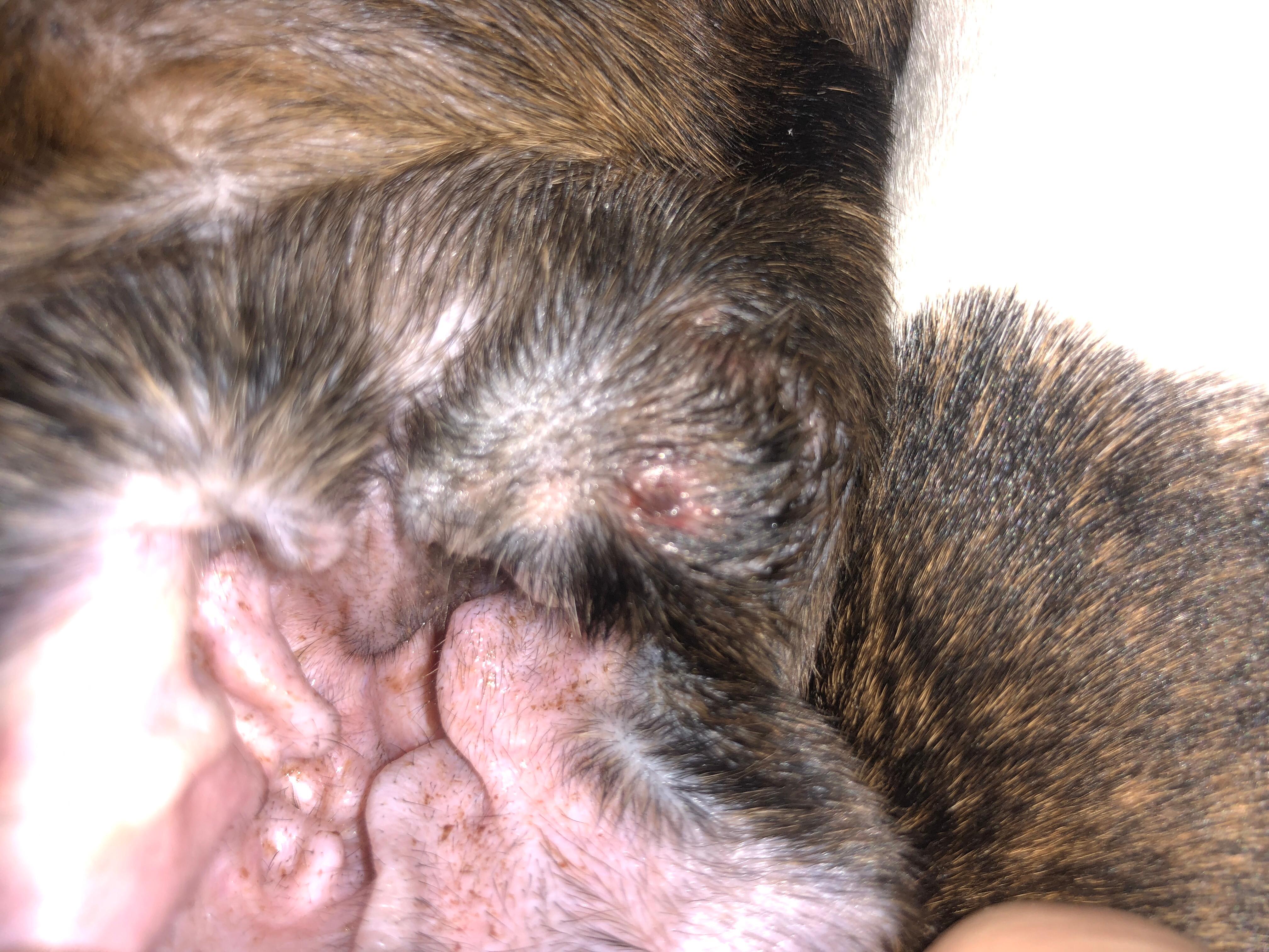 Question details sensitive content