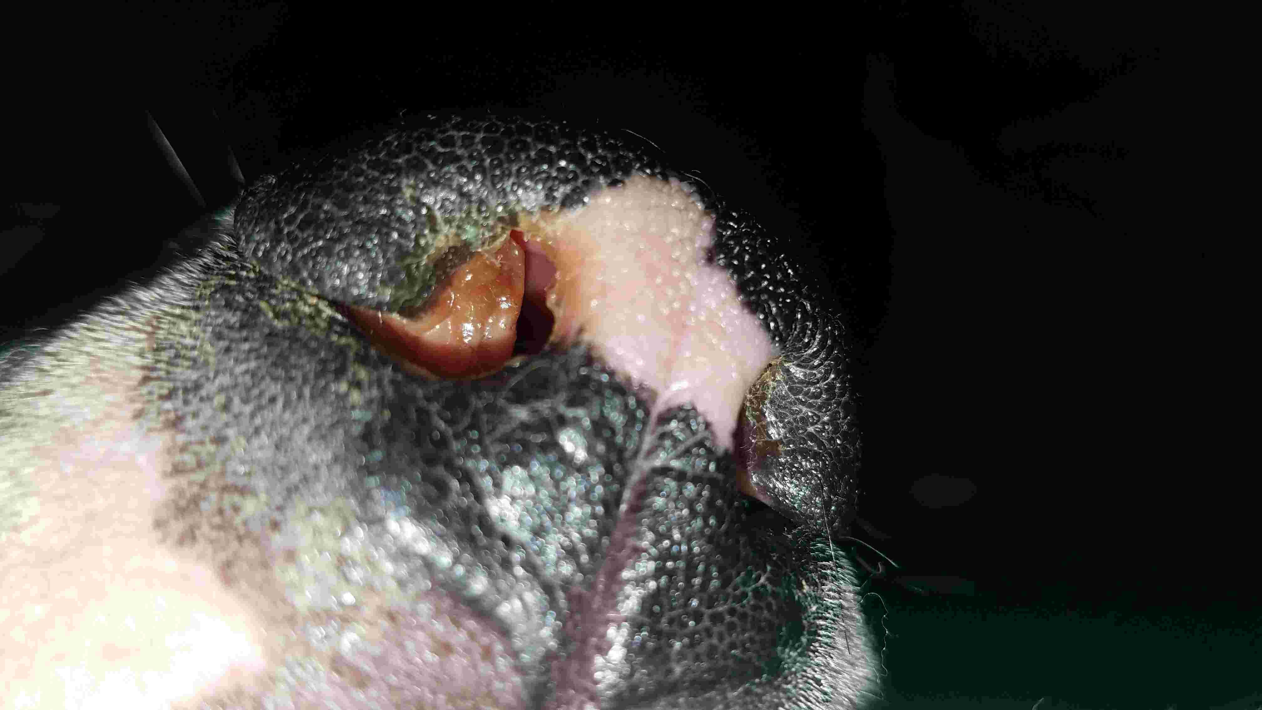 Question details sensitive content