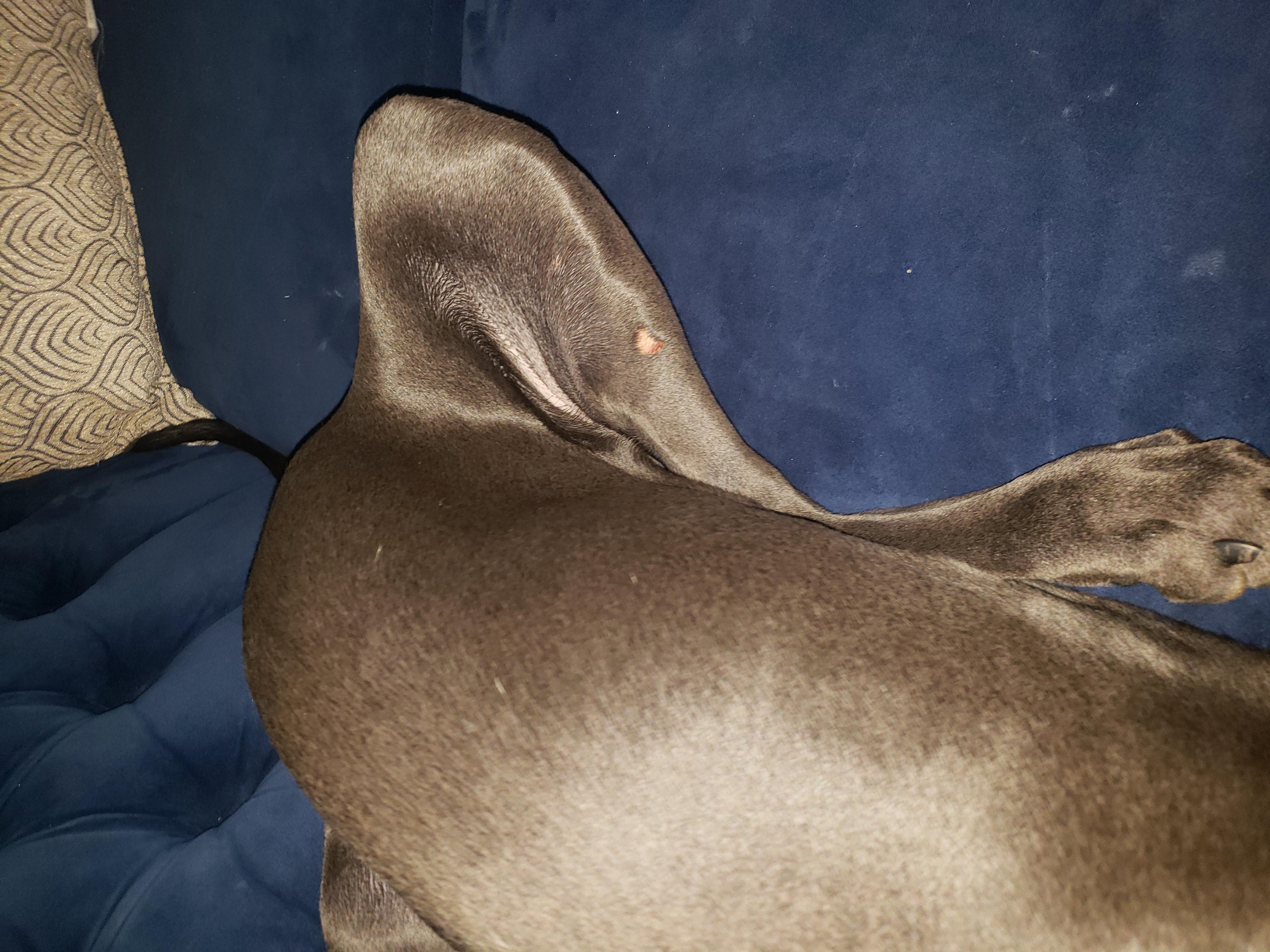 Question details sensitive content