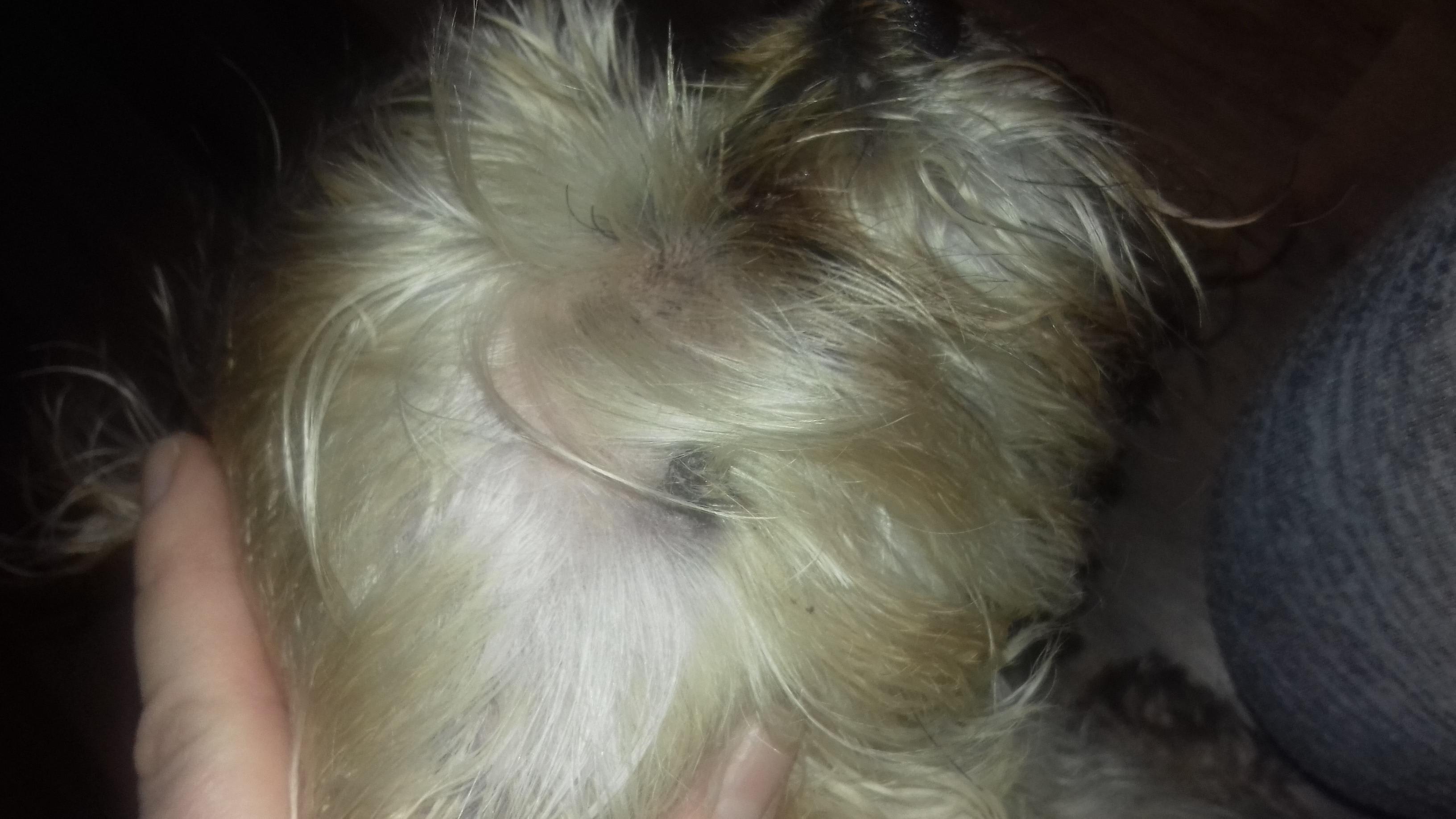 Question details sensitive content