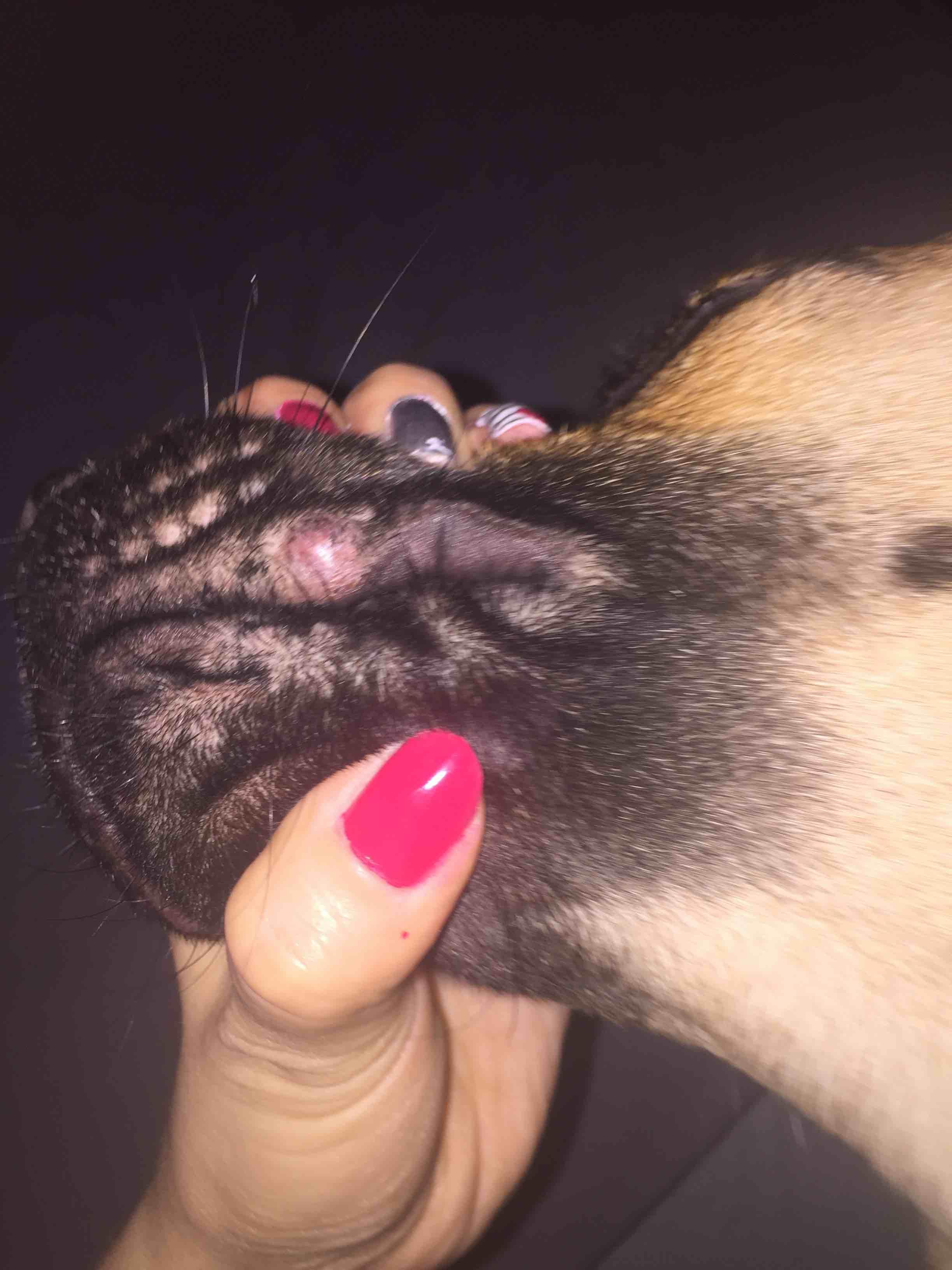 Question details sensitive content