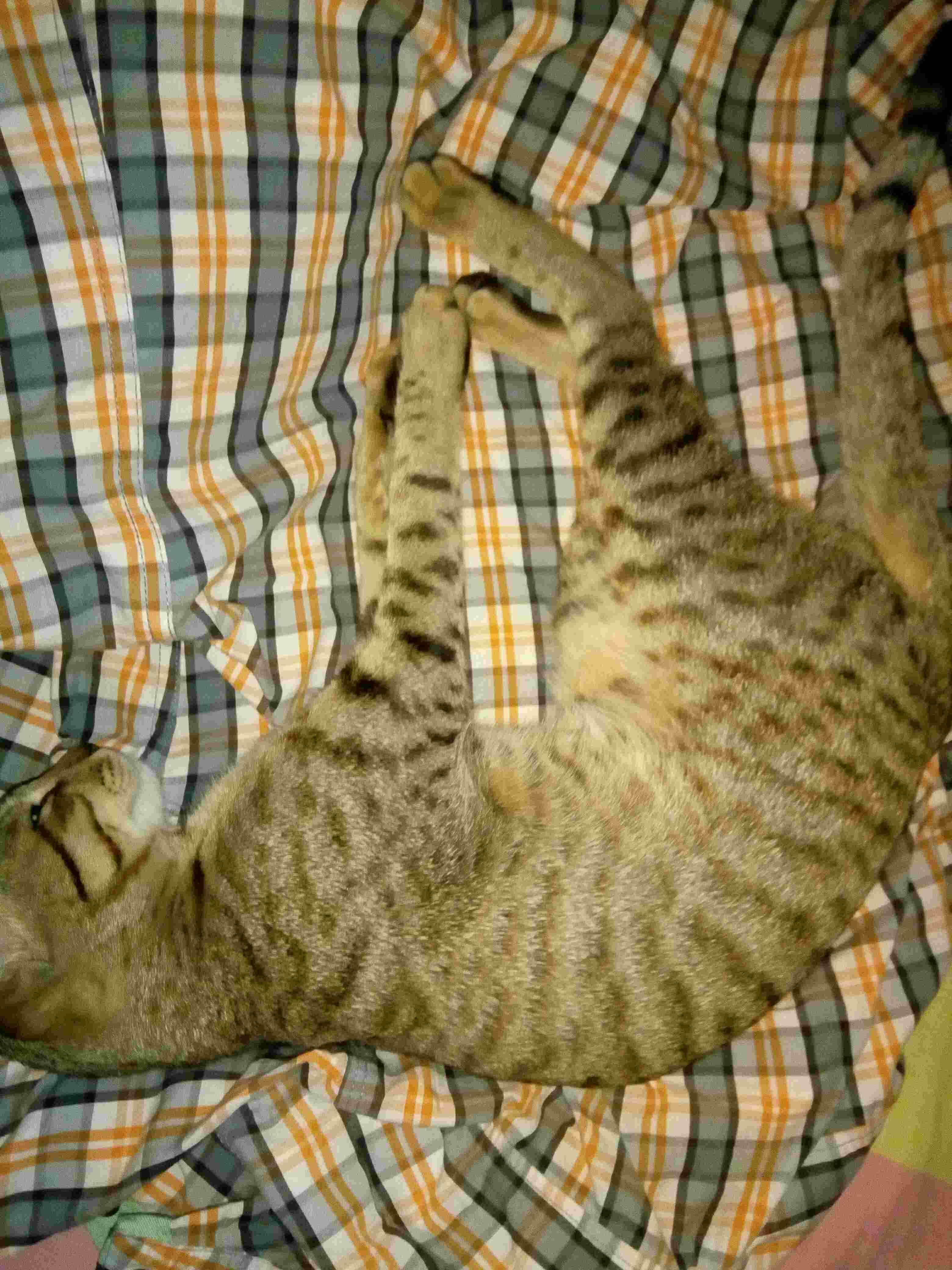 Question details sensitive content