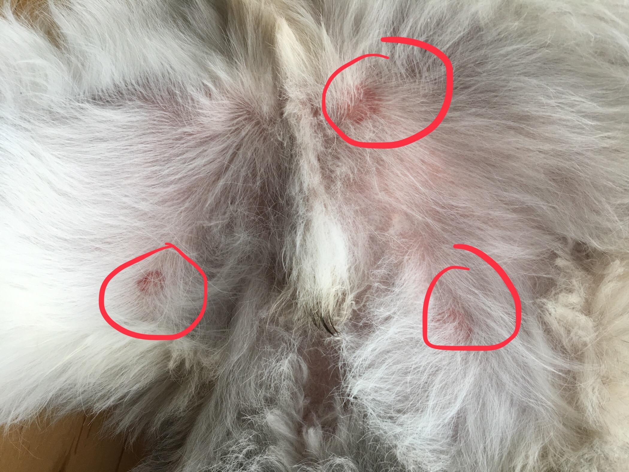 Question details sensitive content