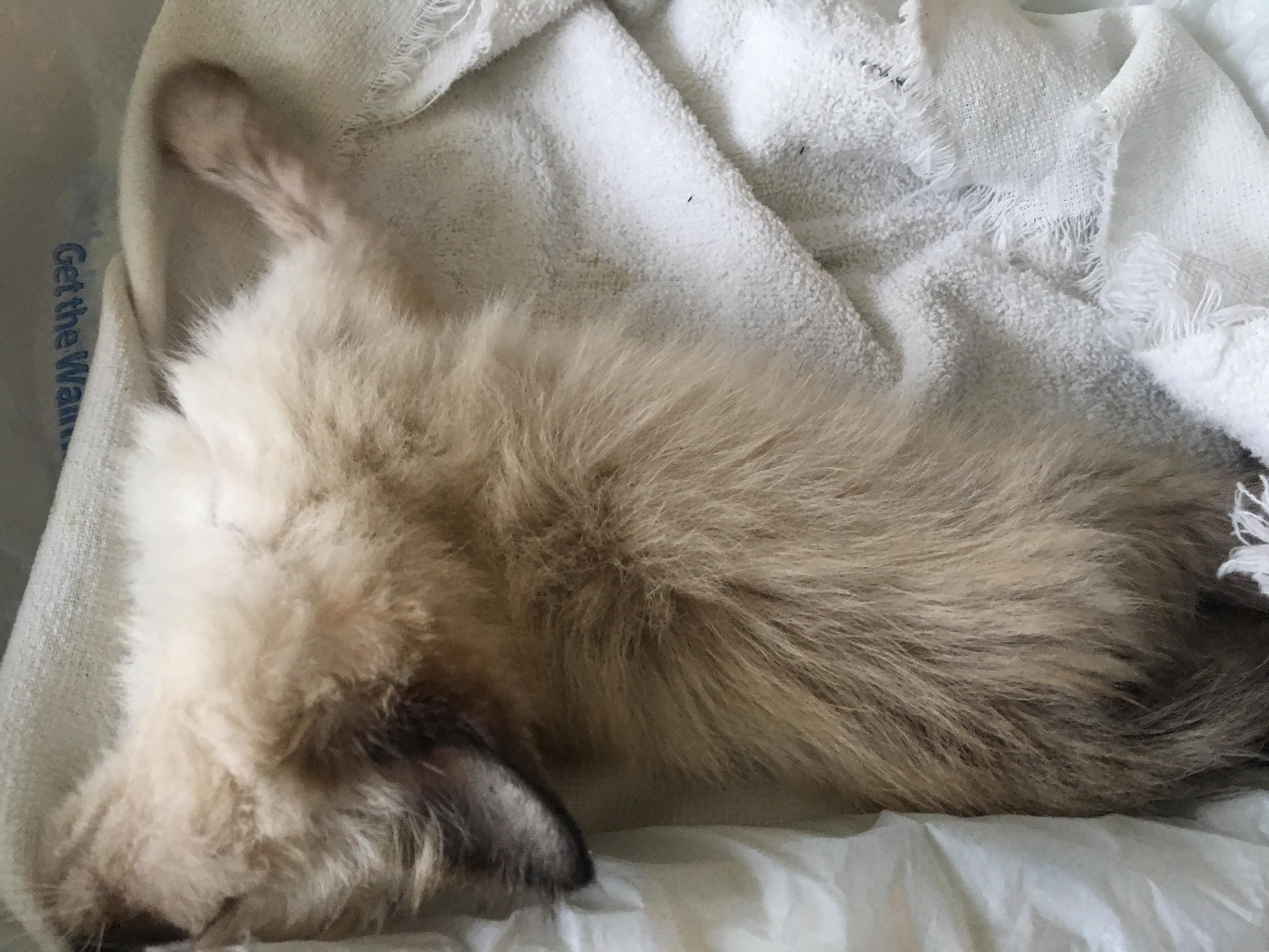 Question details sensitive content