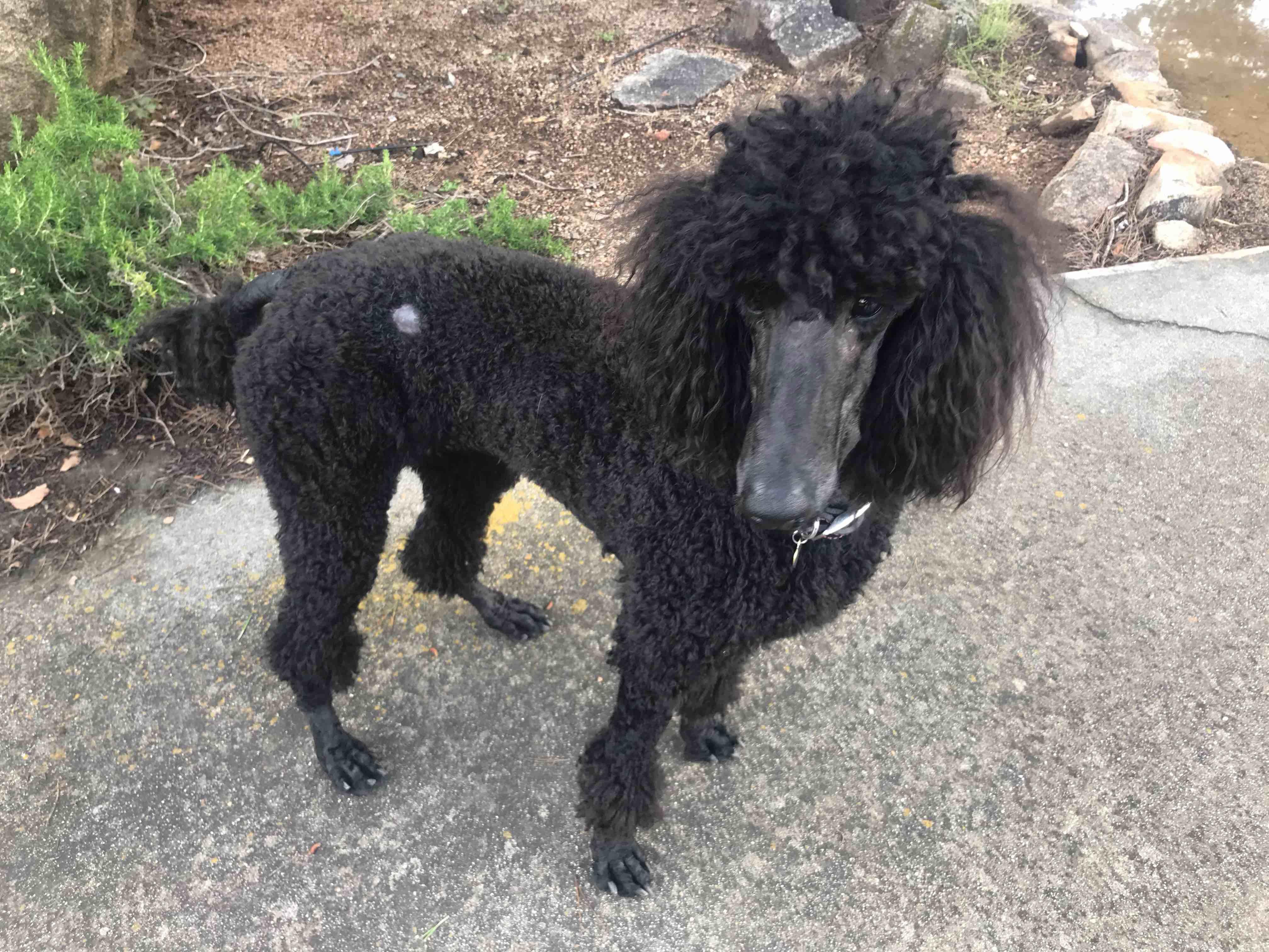 Question details sensitive content