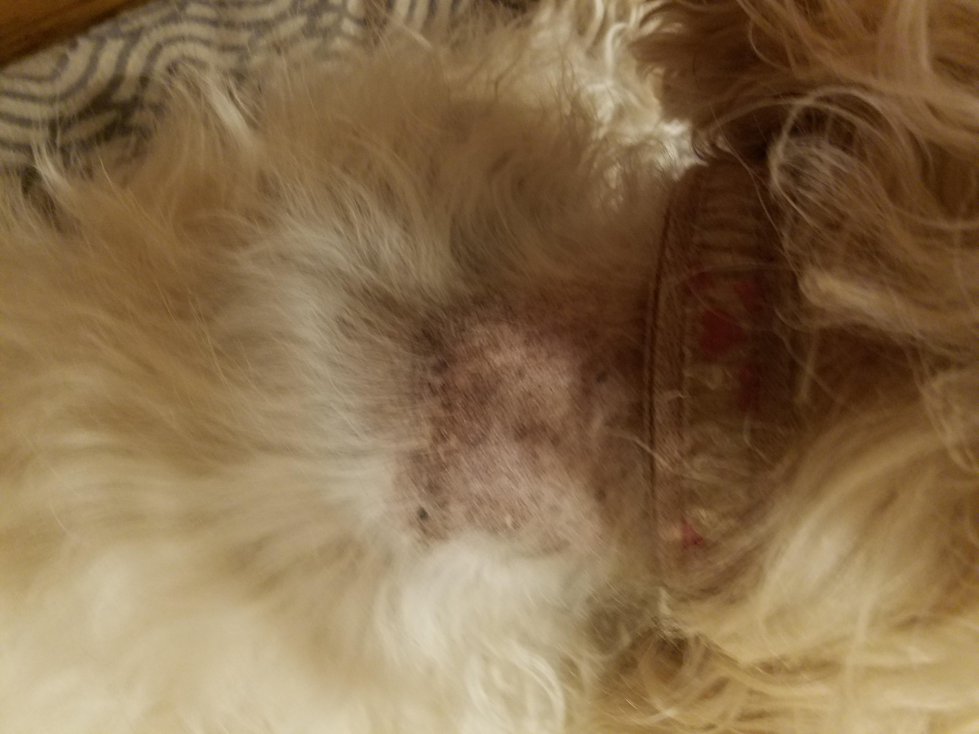 Question details sensitive content