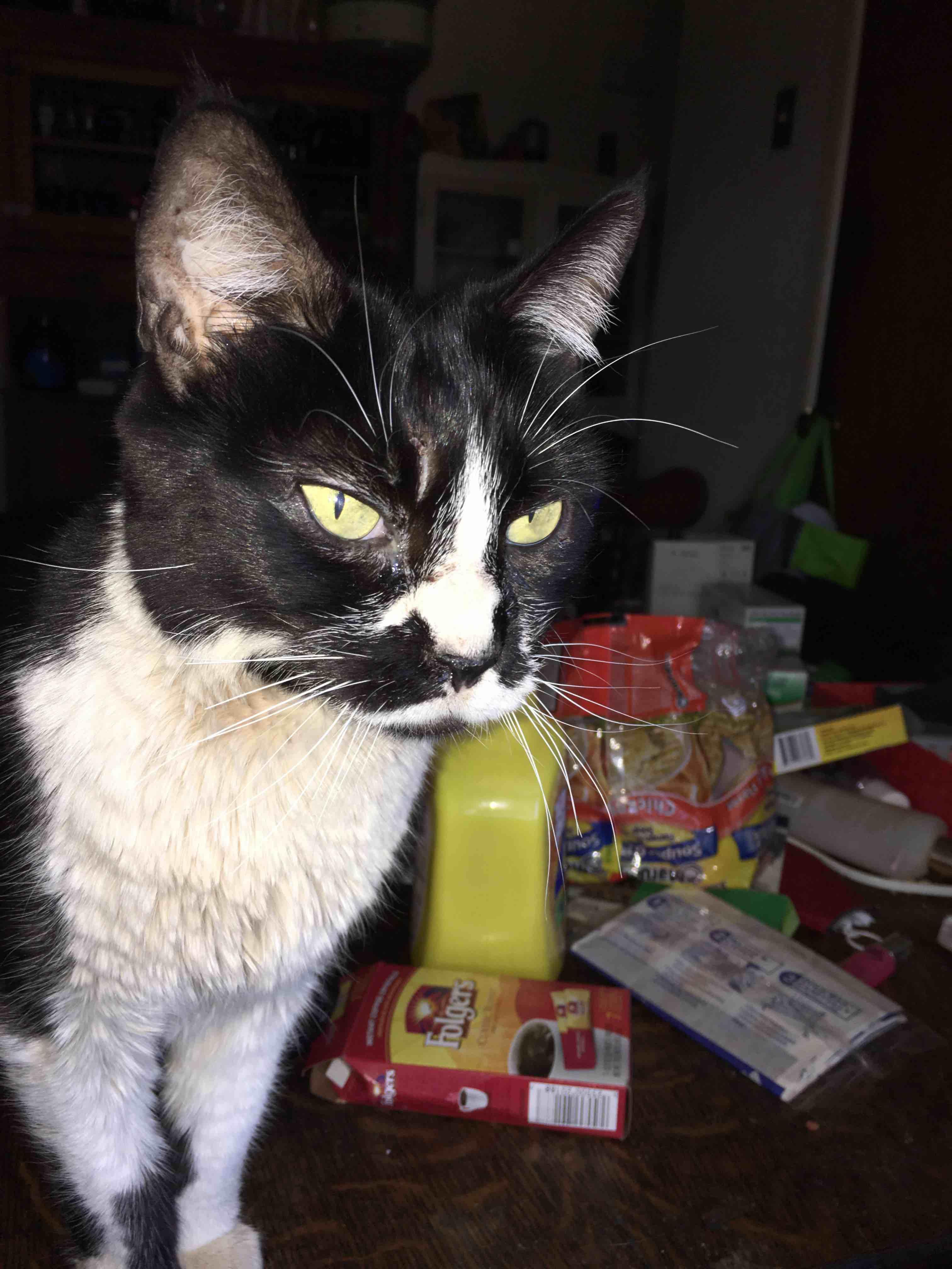 Question details sensitive content