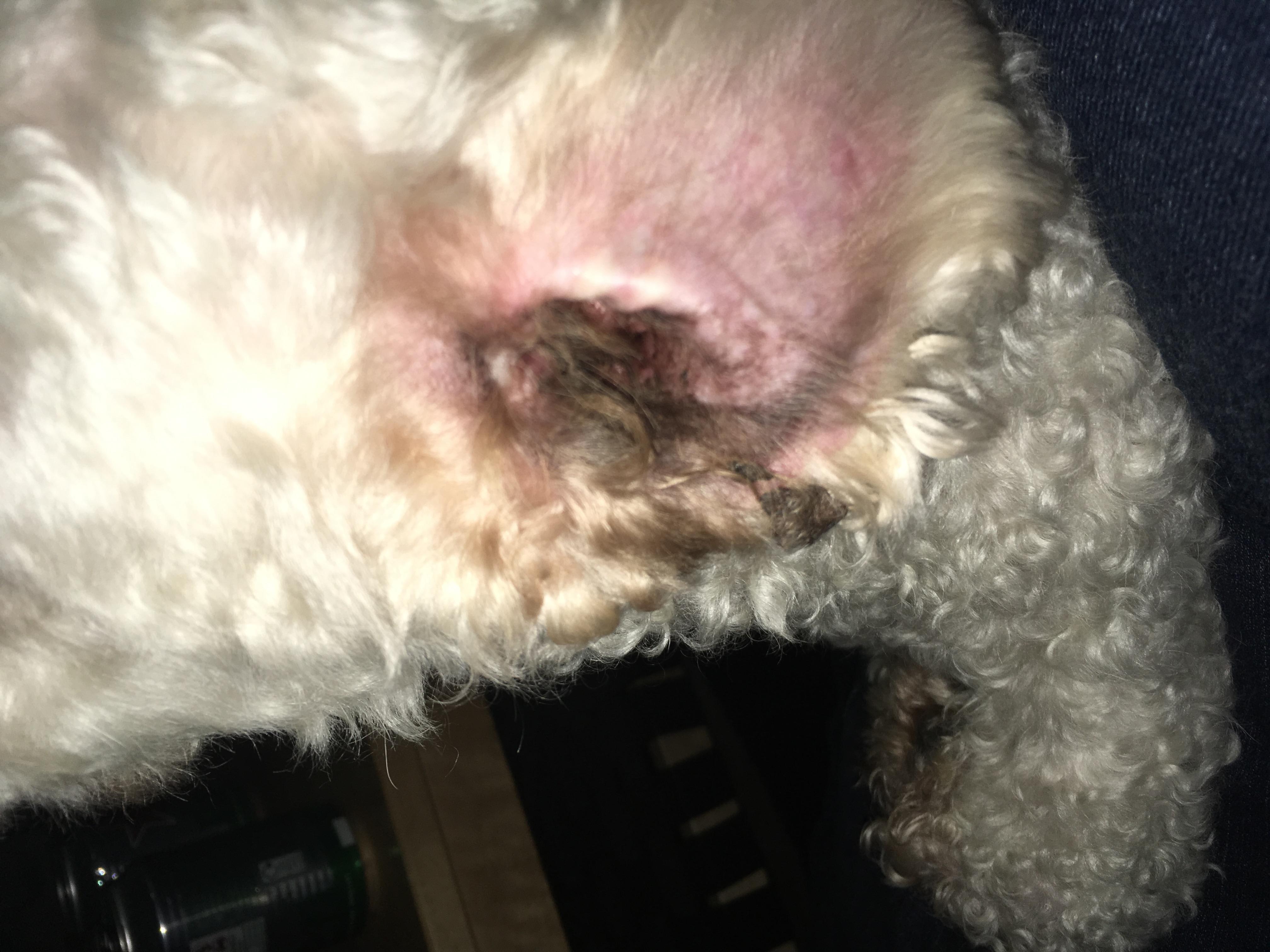 Question details sensitive content