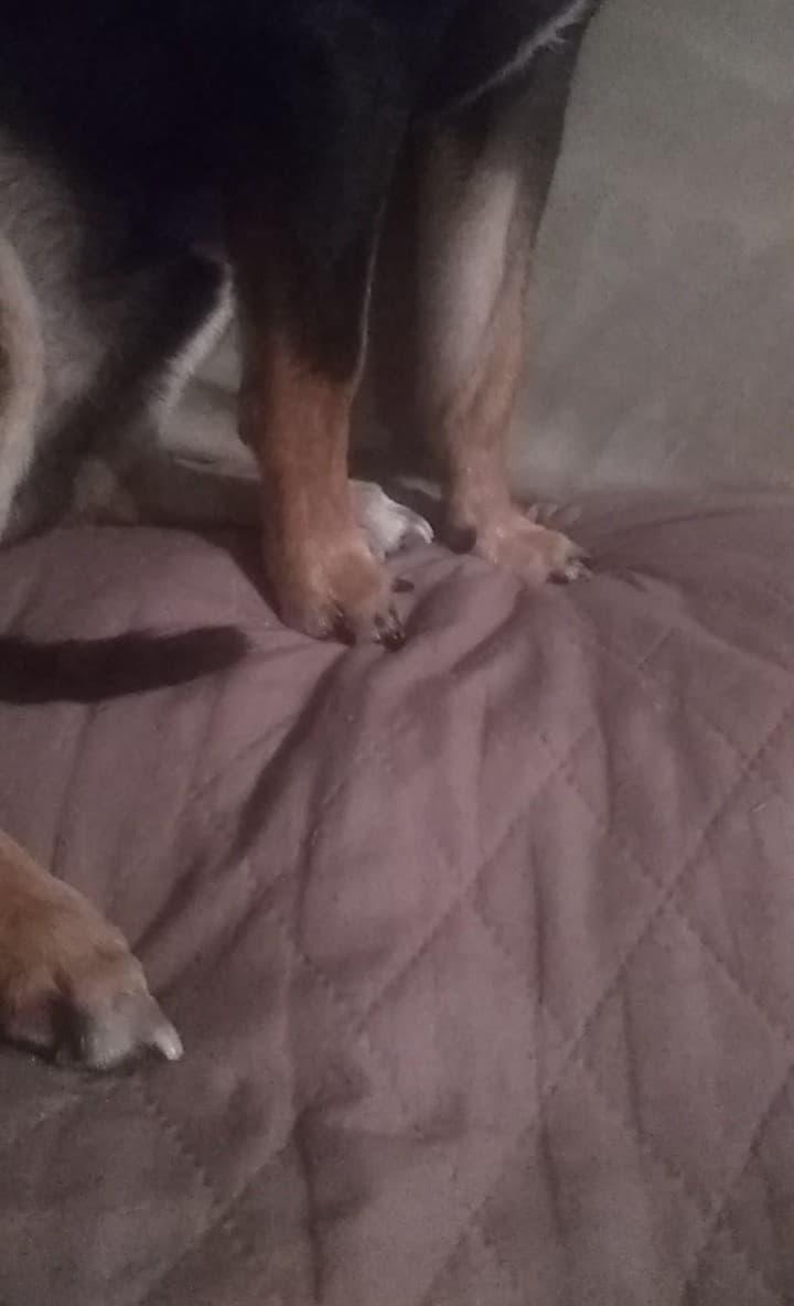 Question details sensitive content