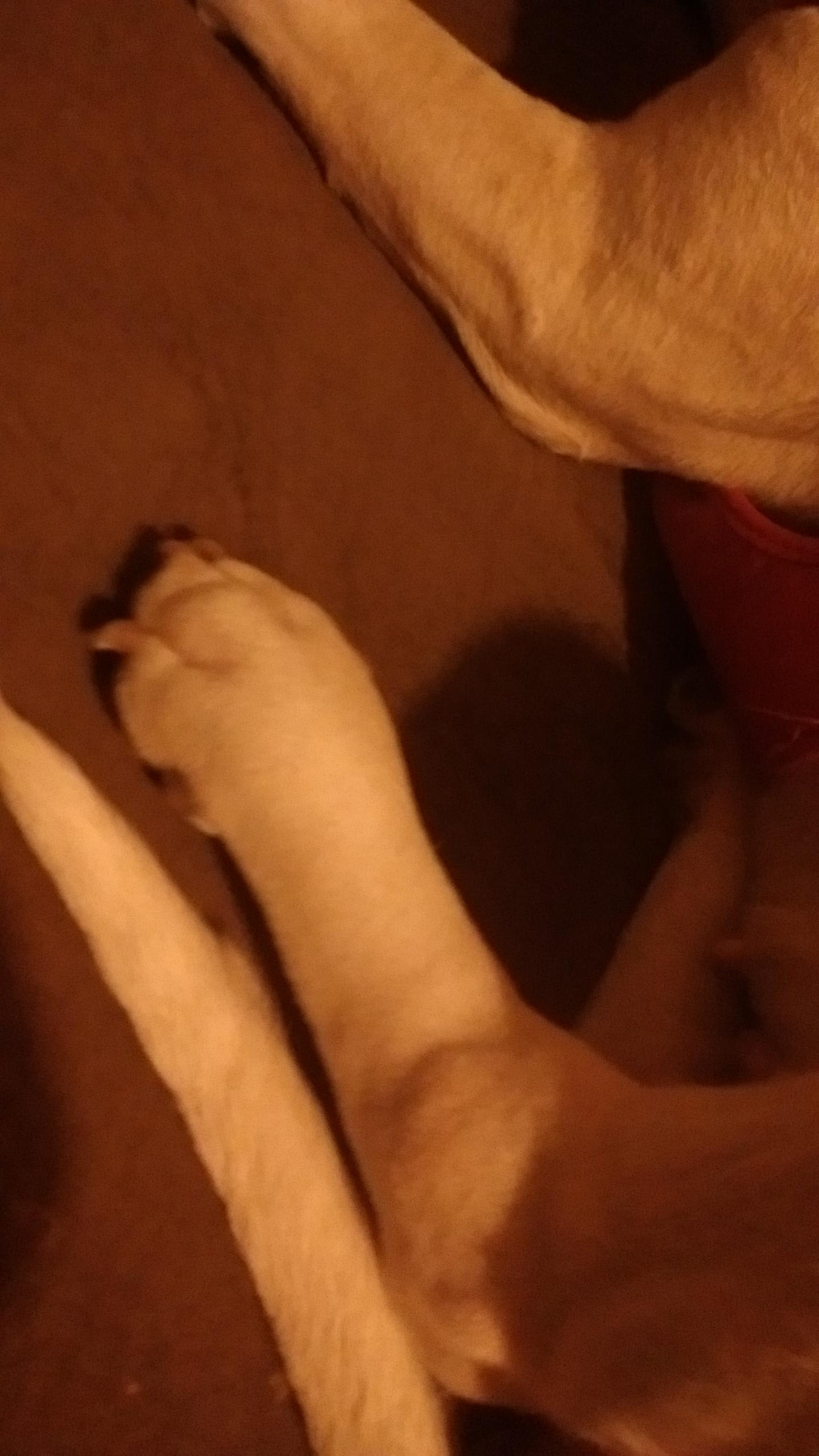 Question details sensitive content