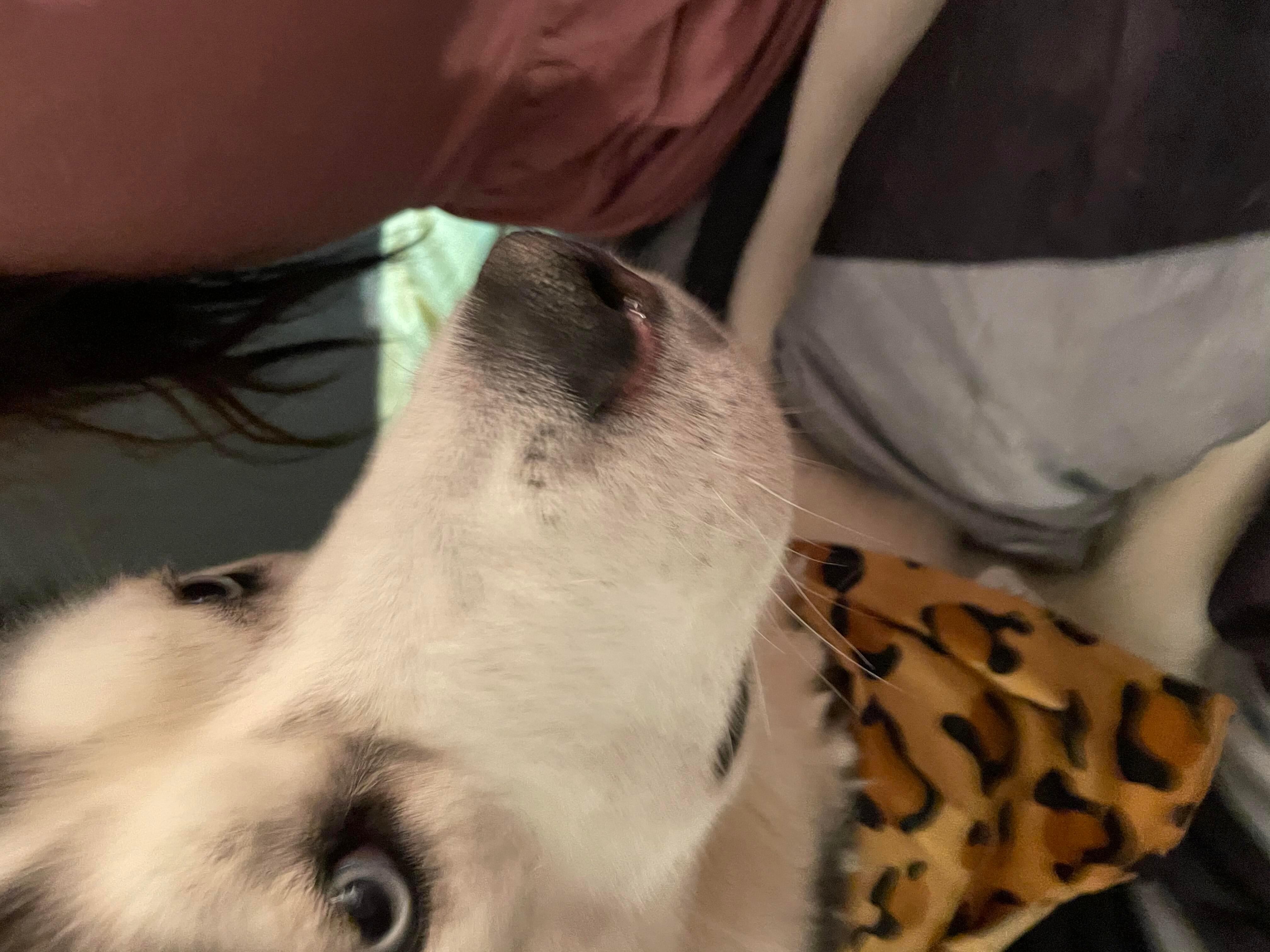 Question details sensitive content