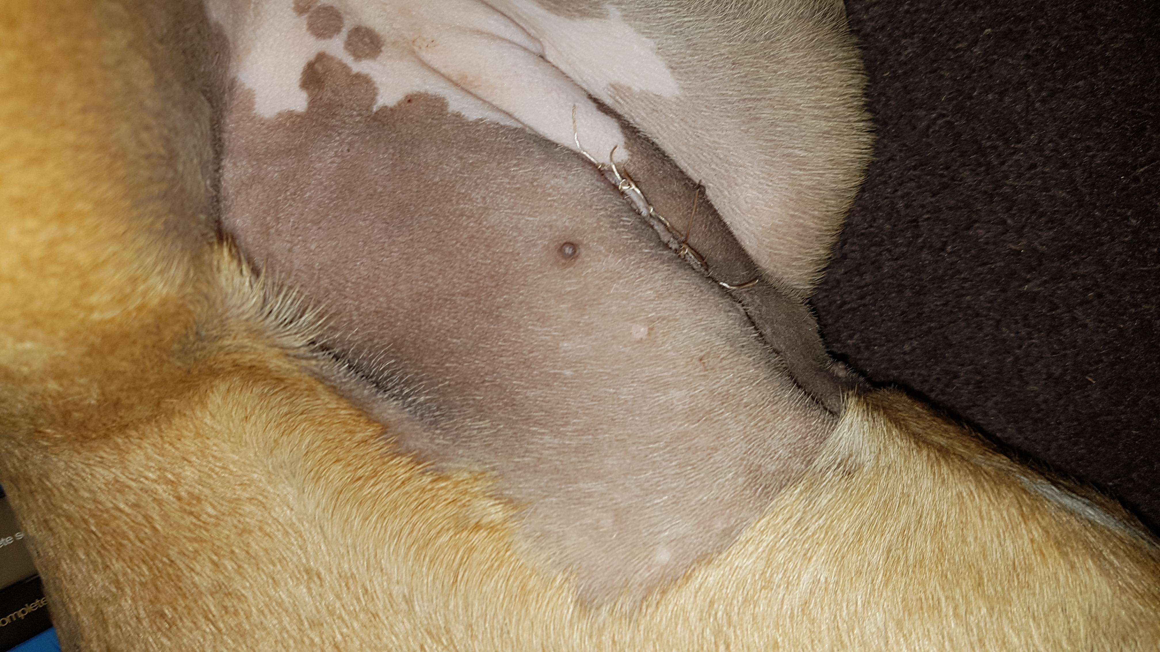 Question details sensitive content