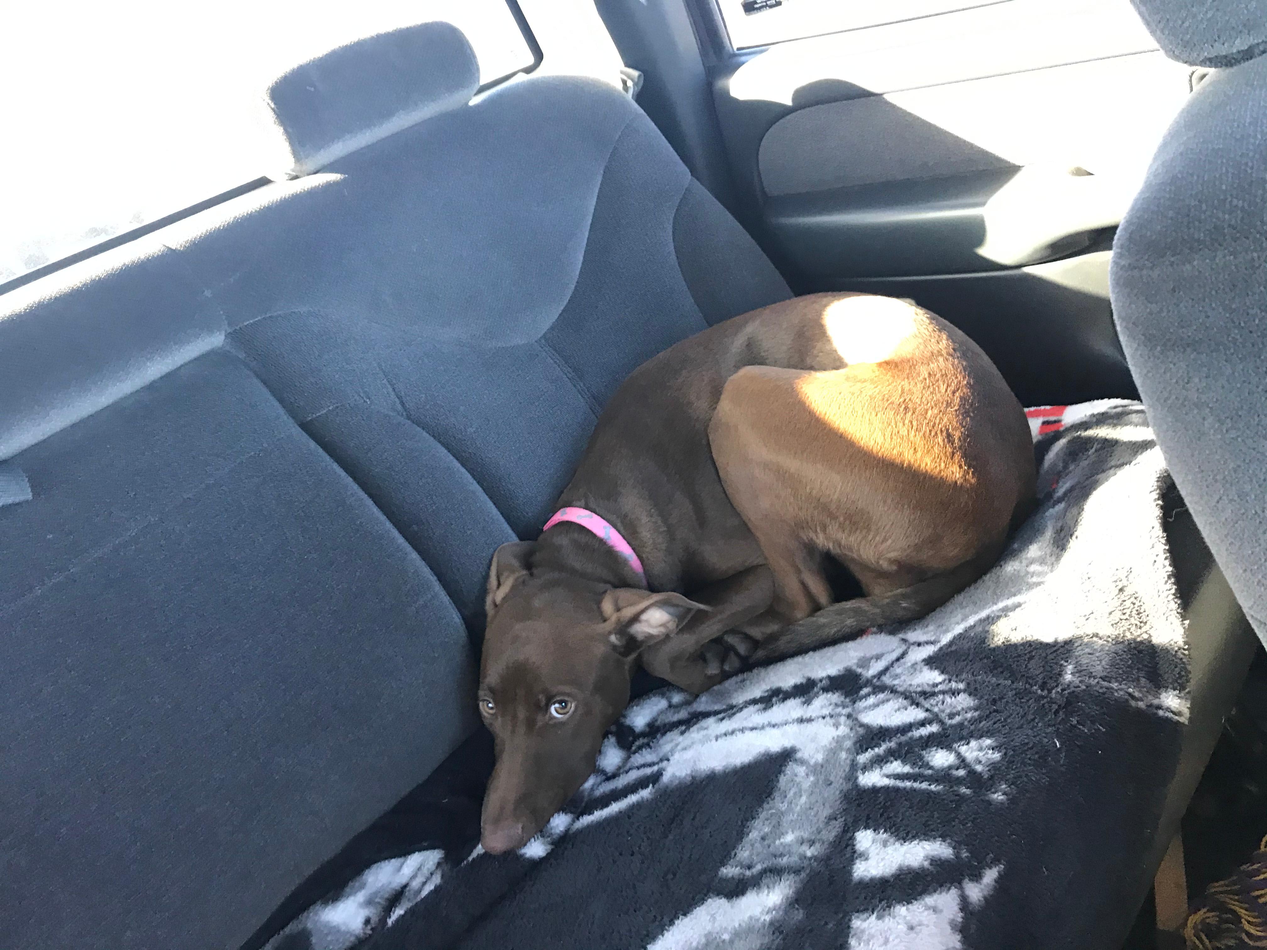 Question details sensitive content