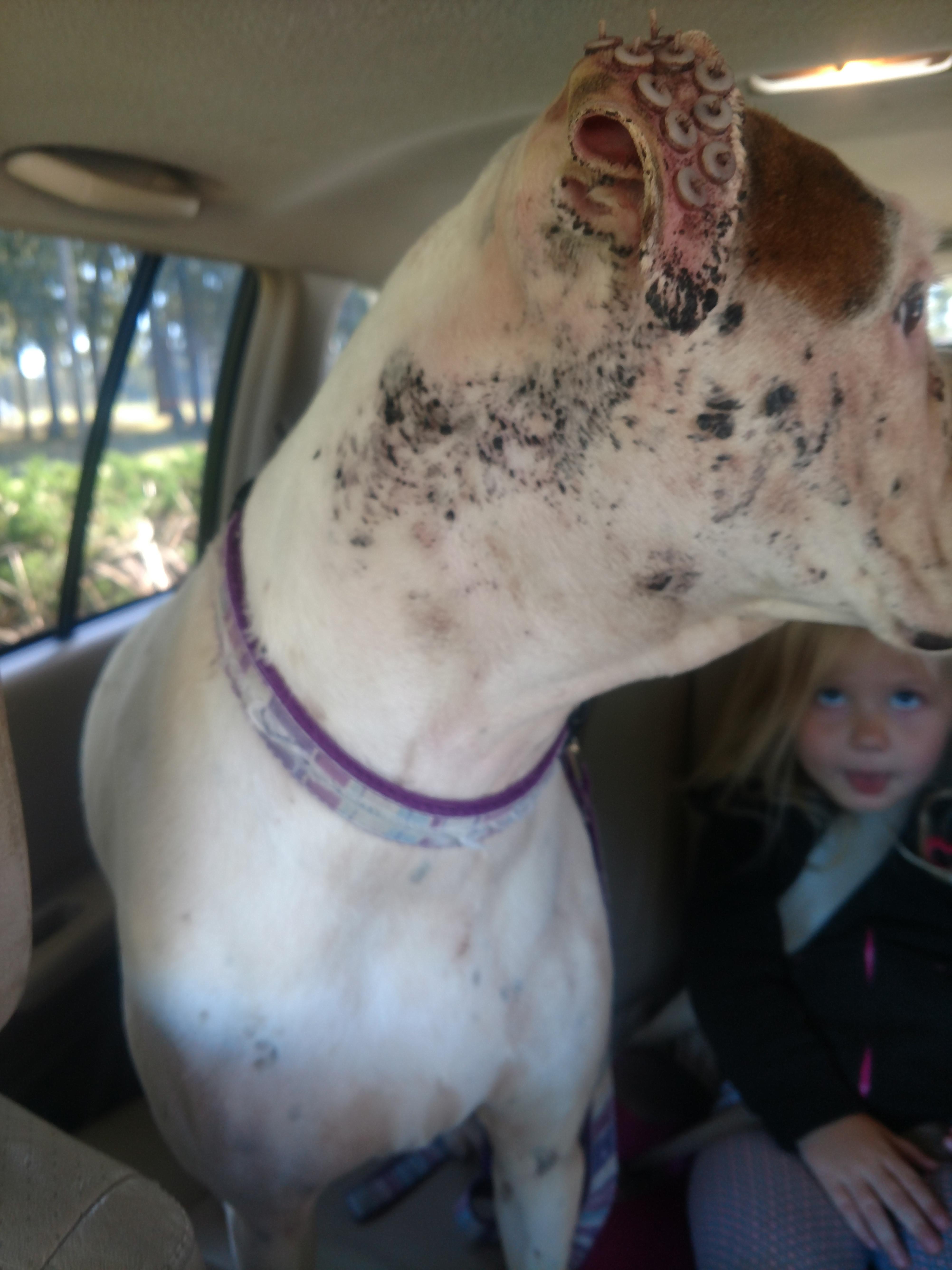 Question details sensitive content