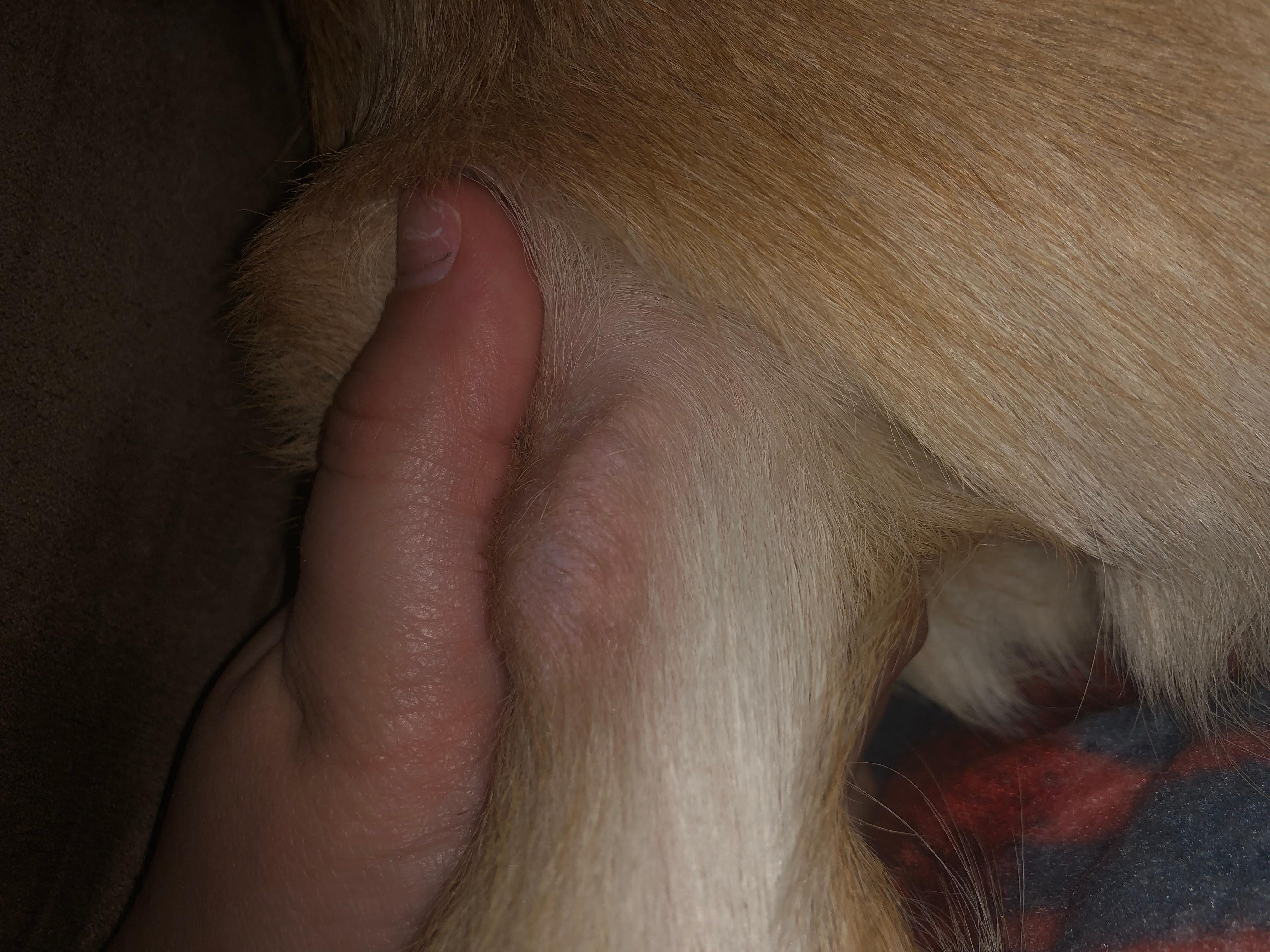 Question details sensitive content