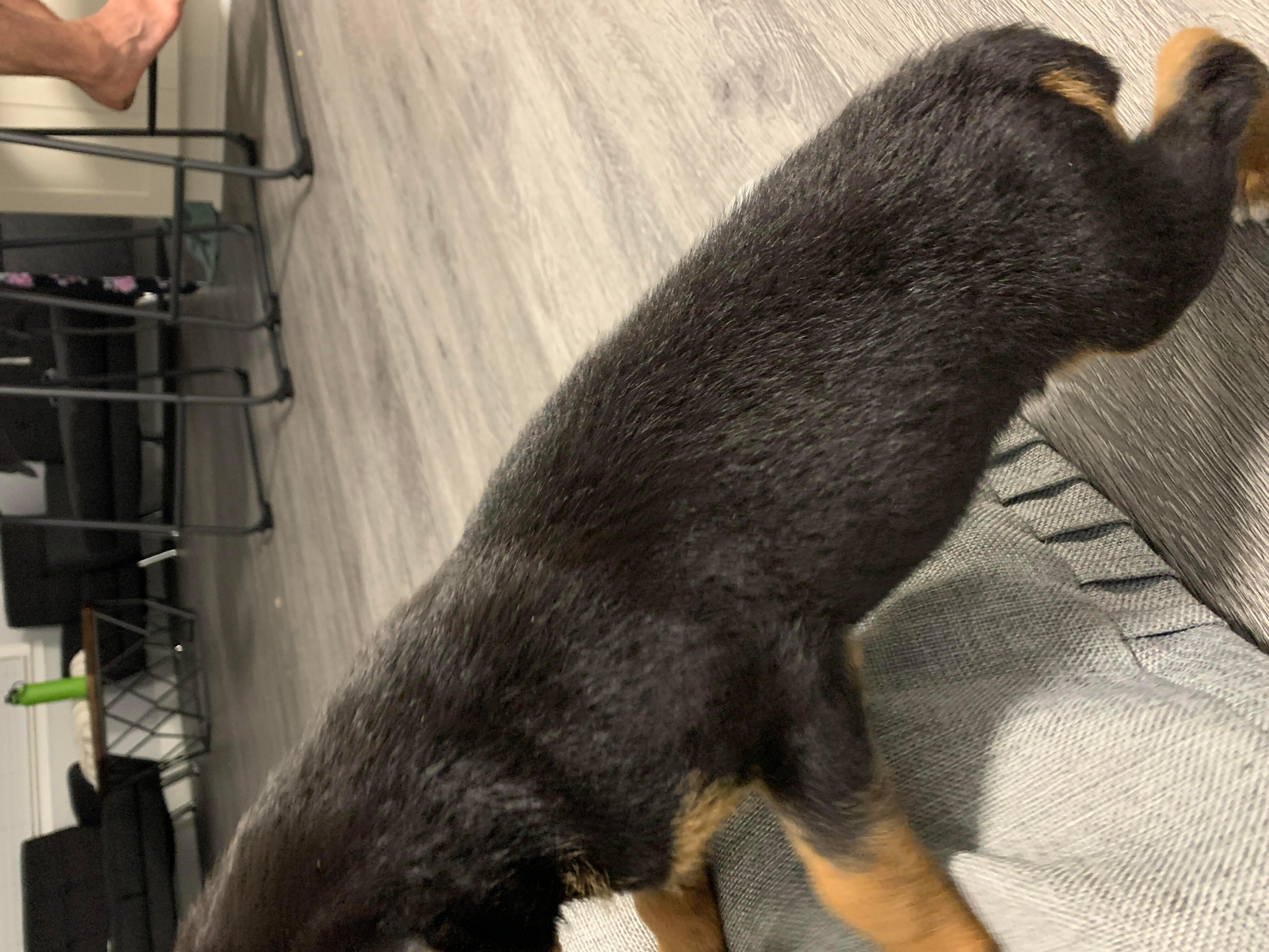 Question details sensitive content