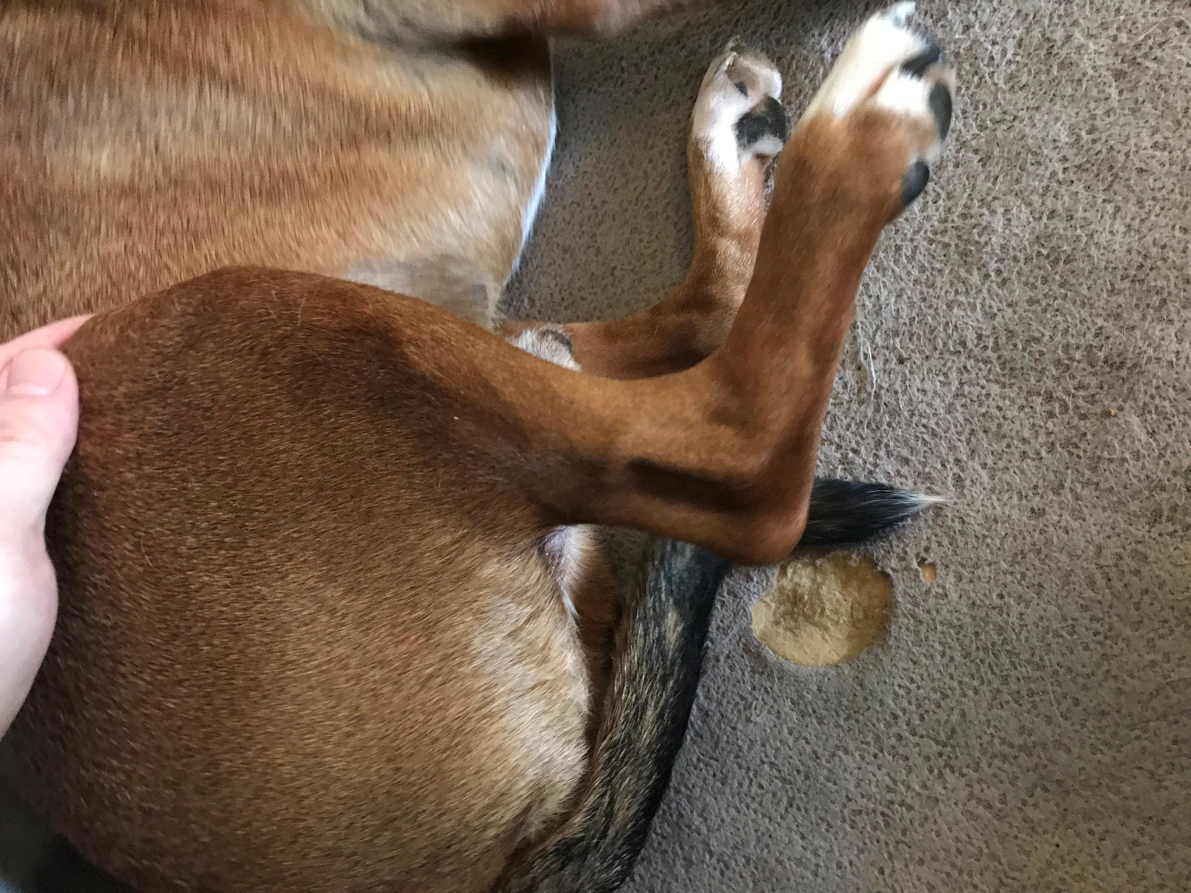 Question details sensitive content