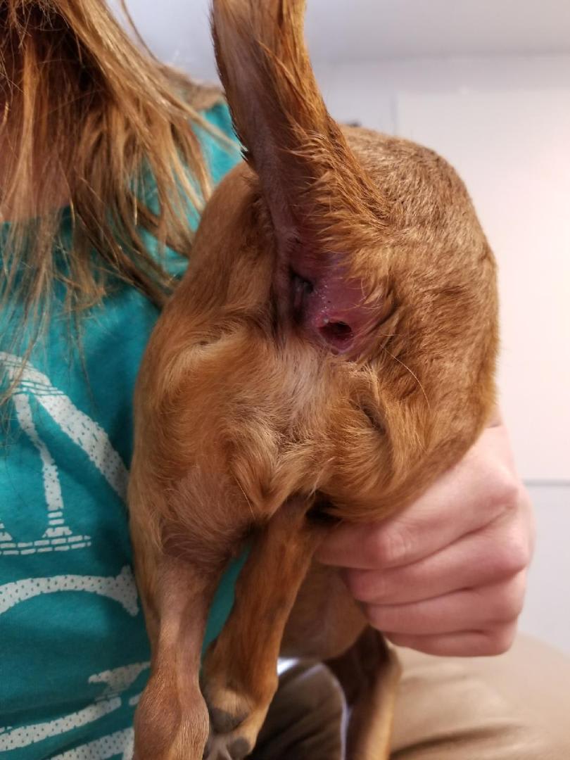 Question details sensitive content