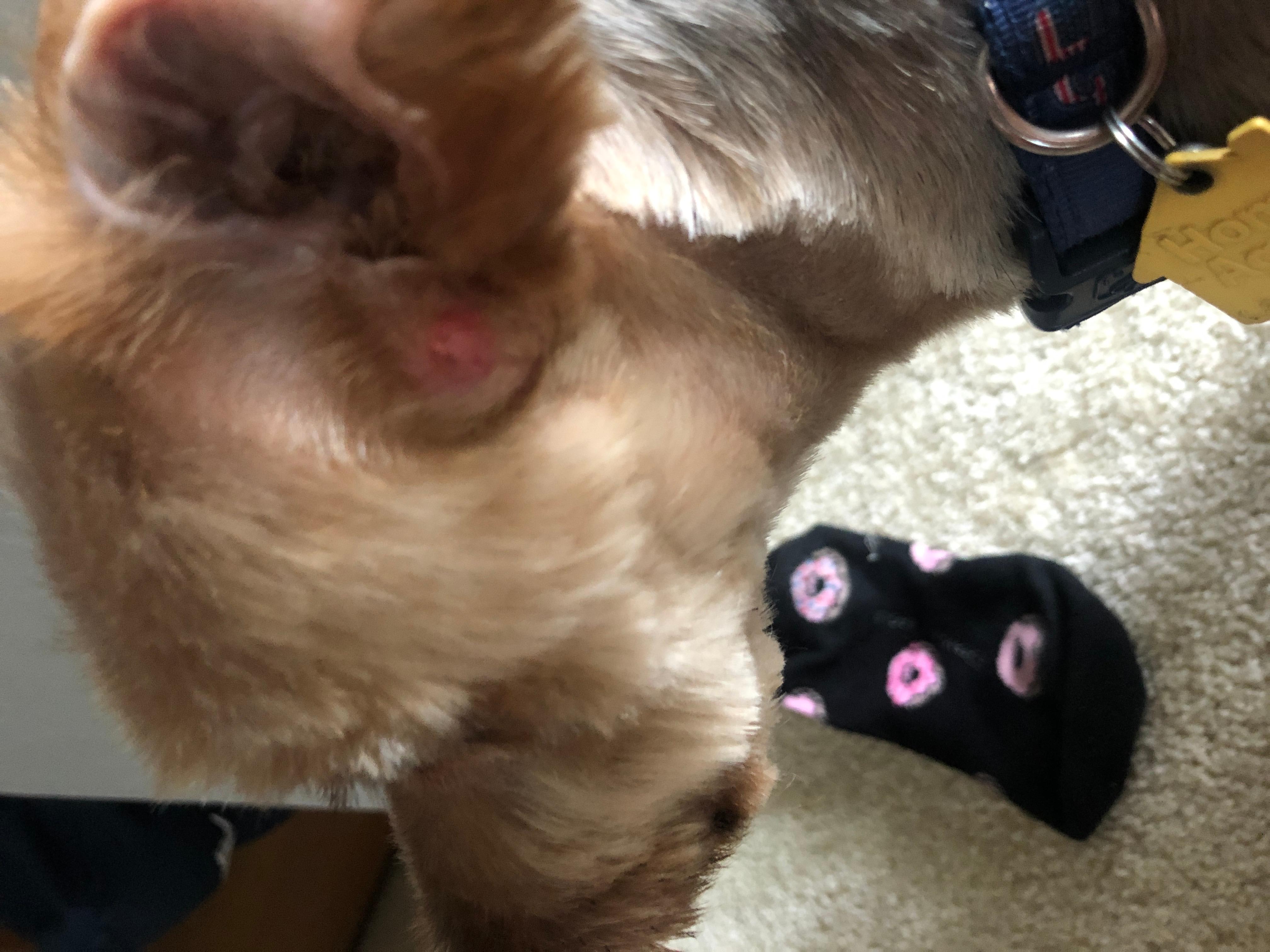 Question details sensitive content