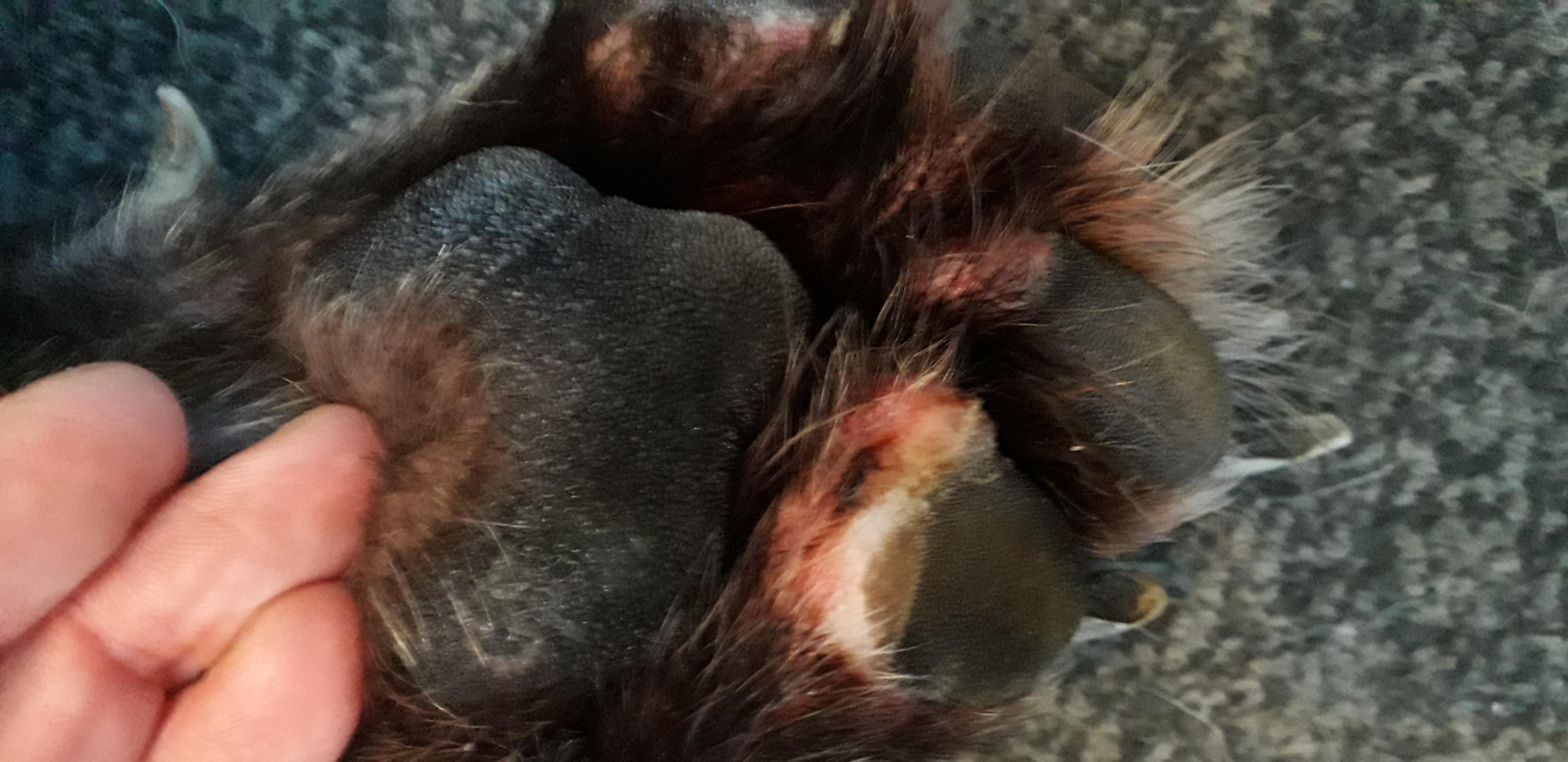 Question details sensitive content