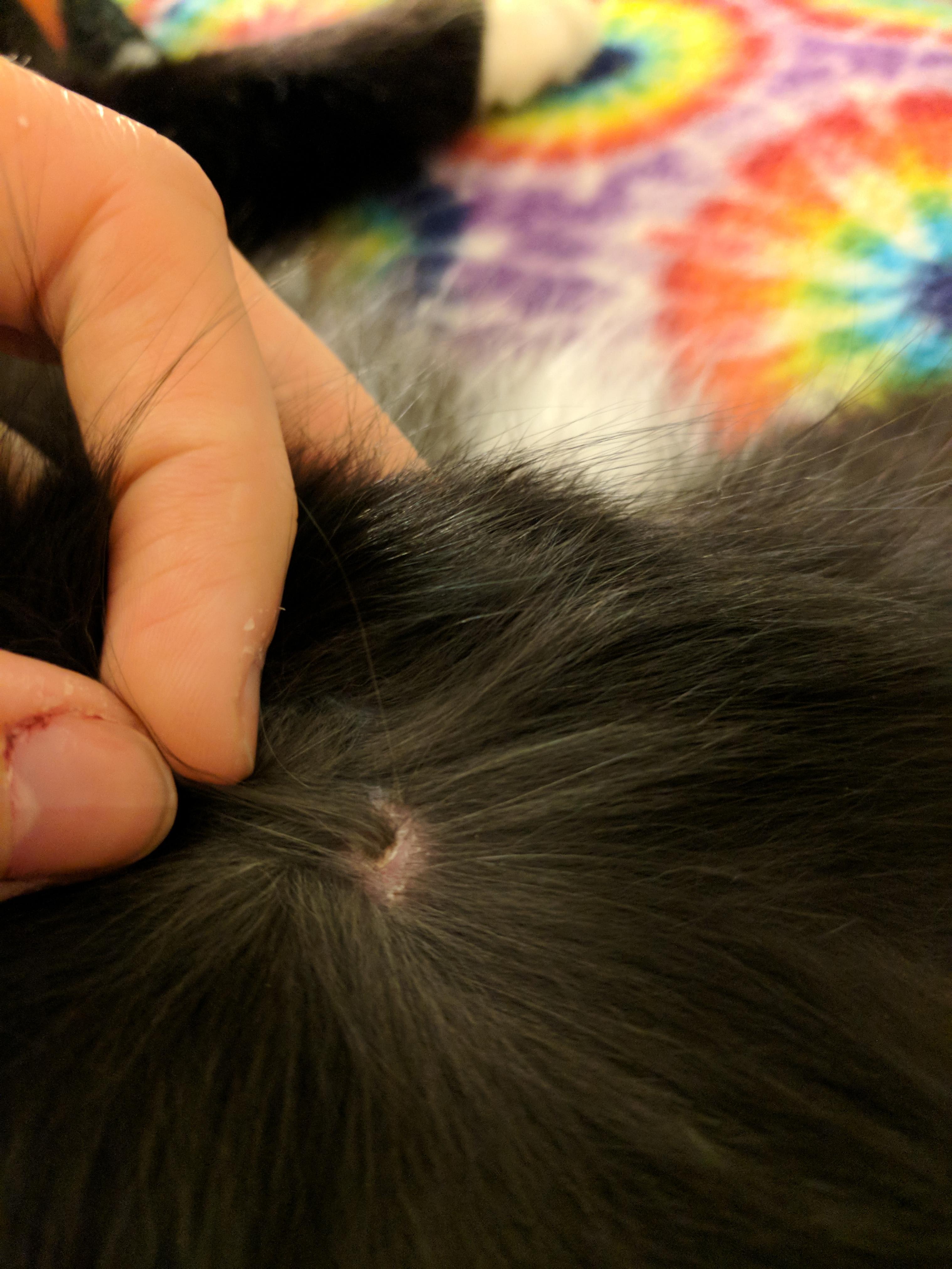 Question details sensitive content