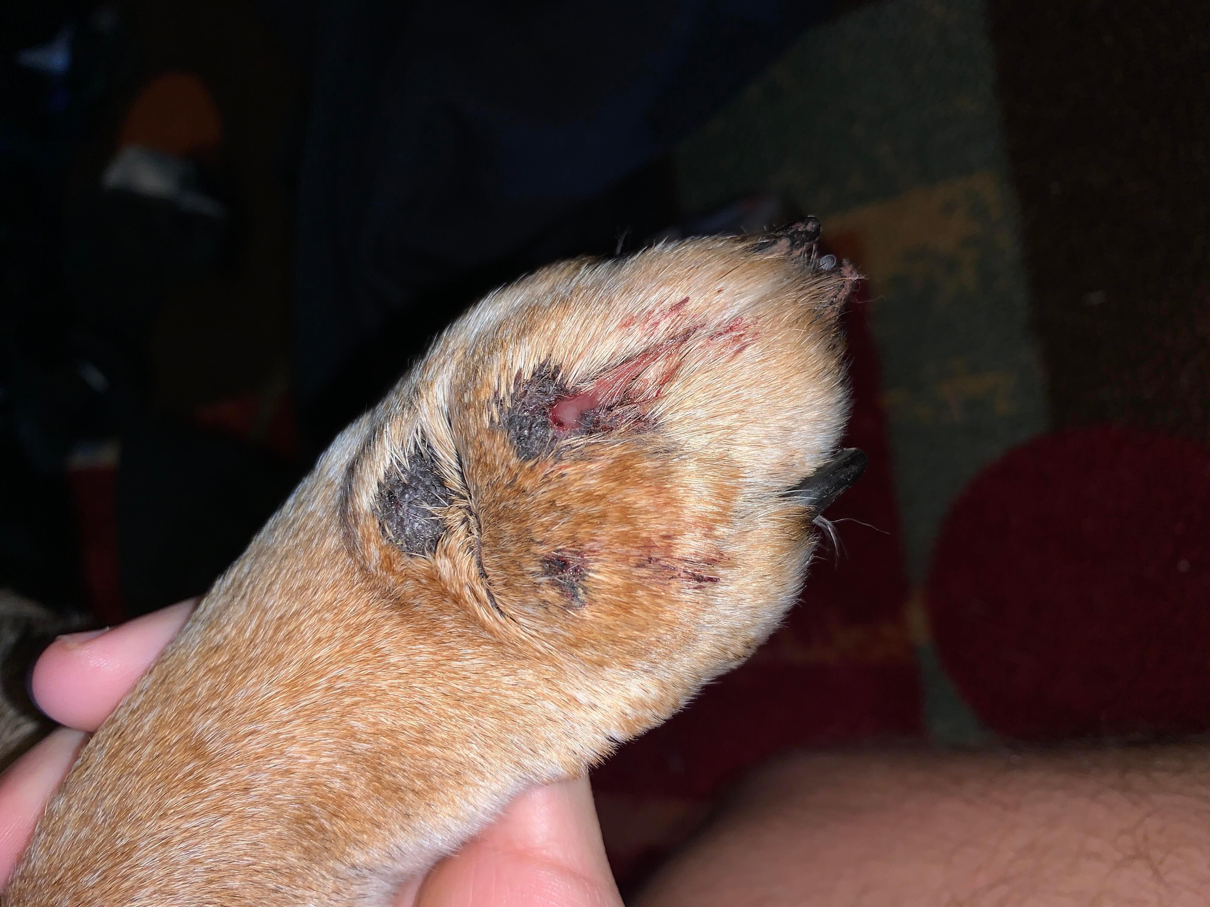 Question details sensitive content