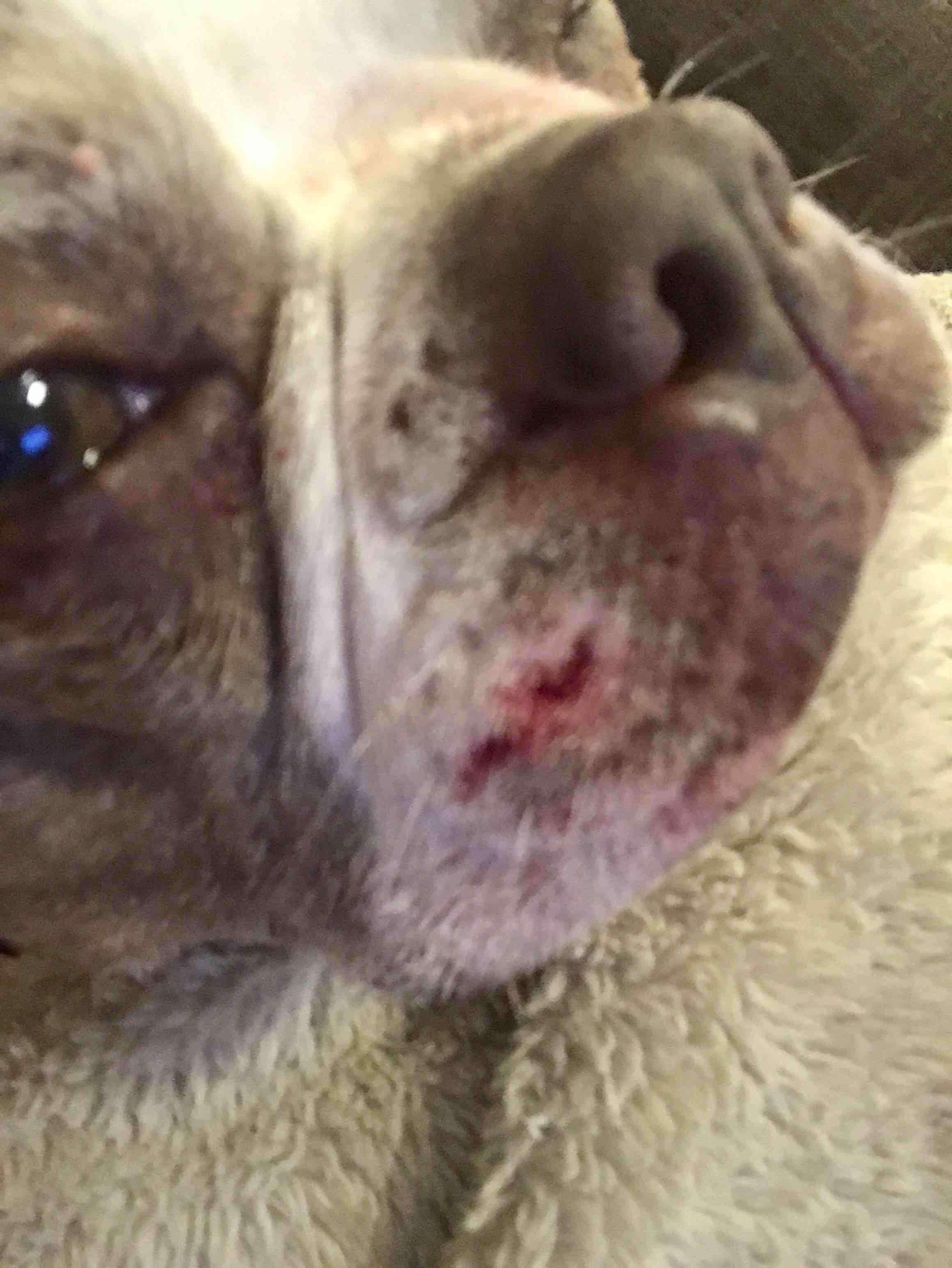 Question details sensitive content