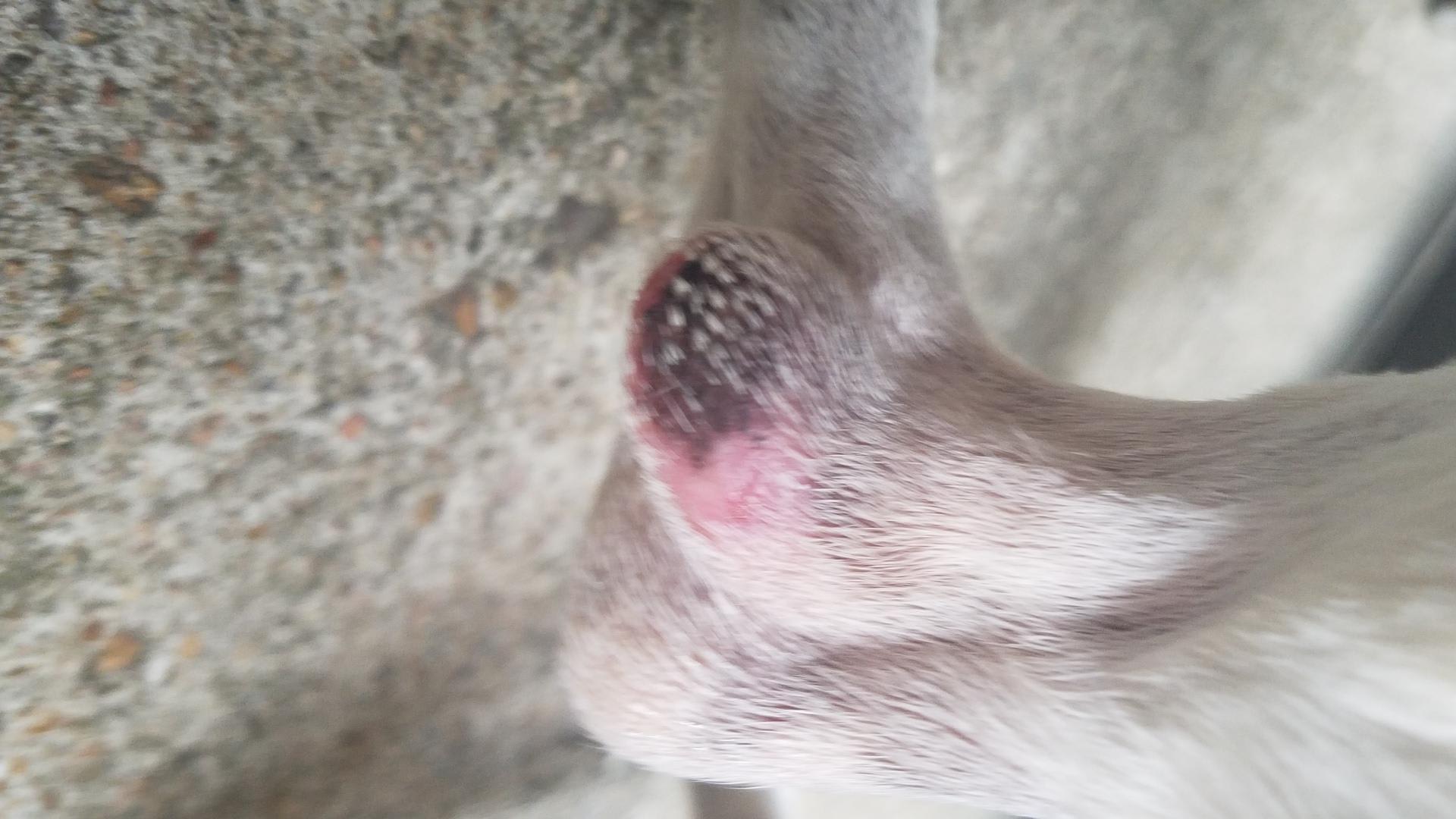 Question details sensitive content