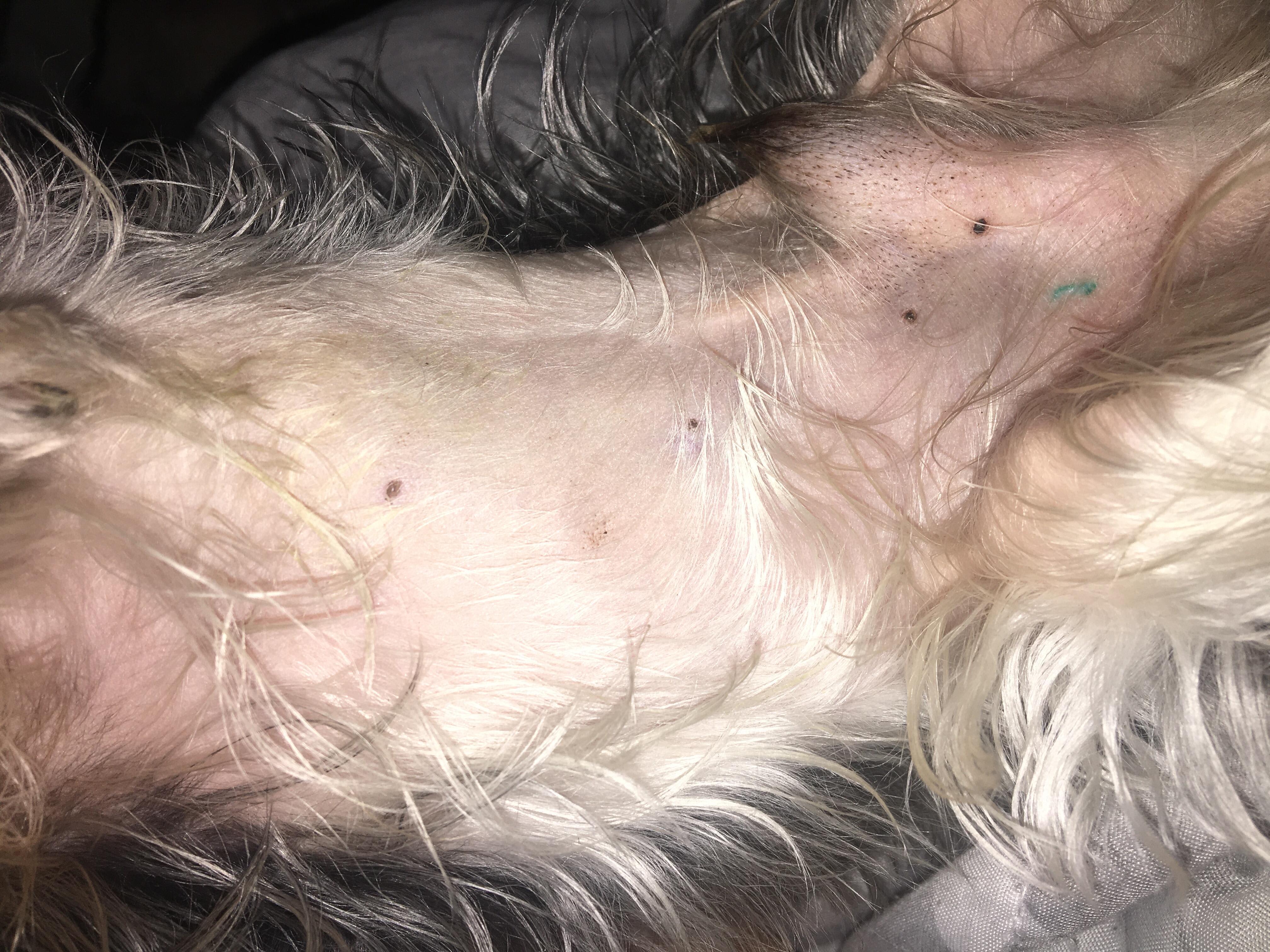 Question details sensitive content