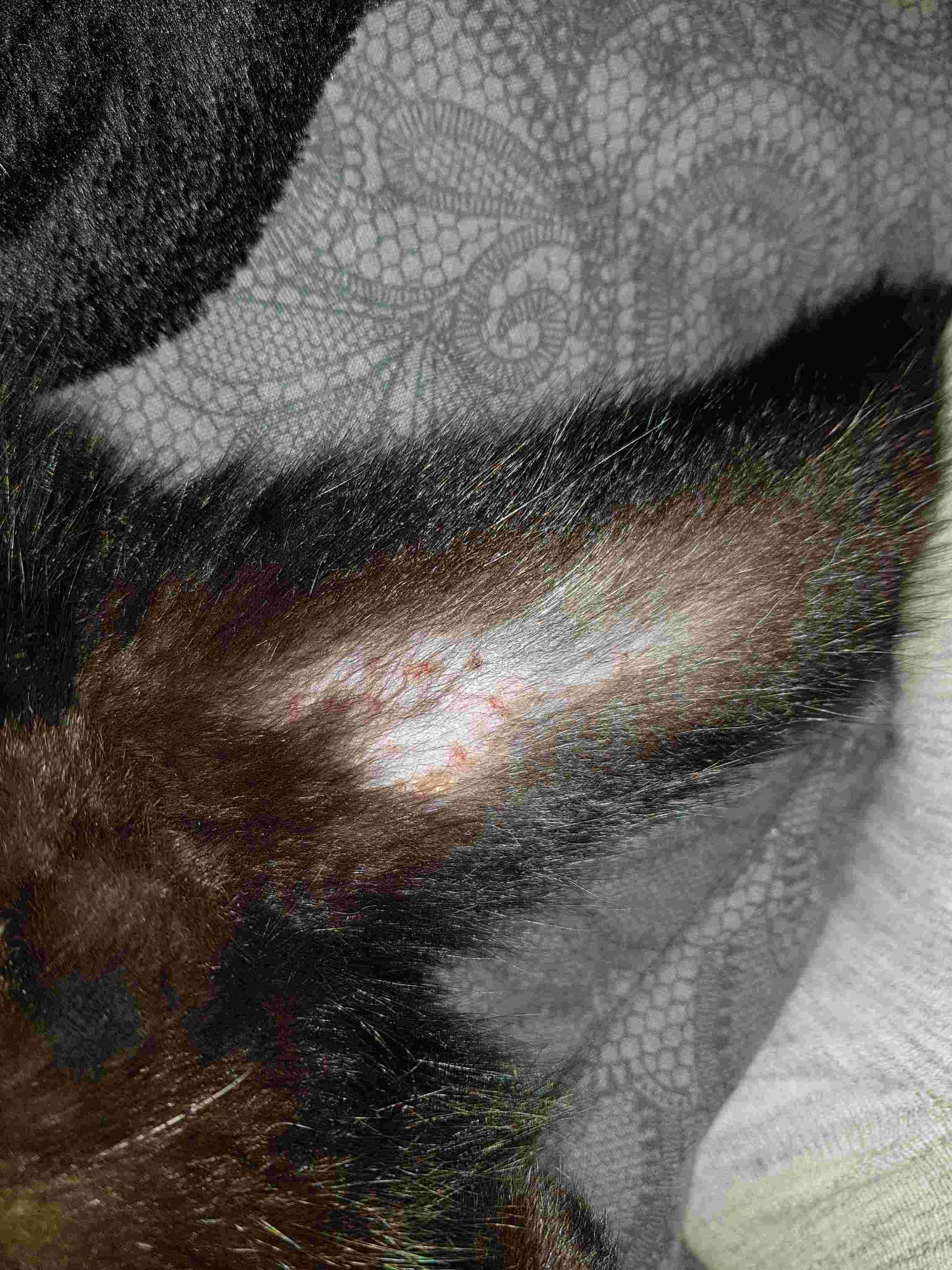 Question details sensitive content