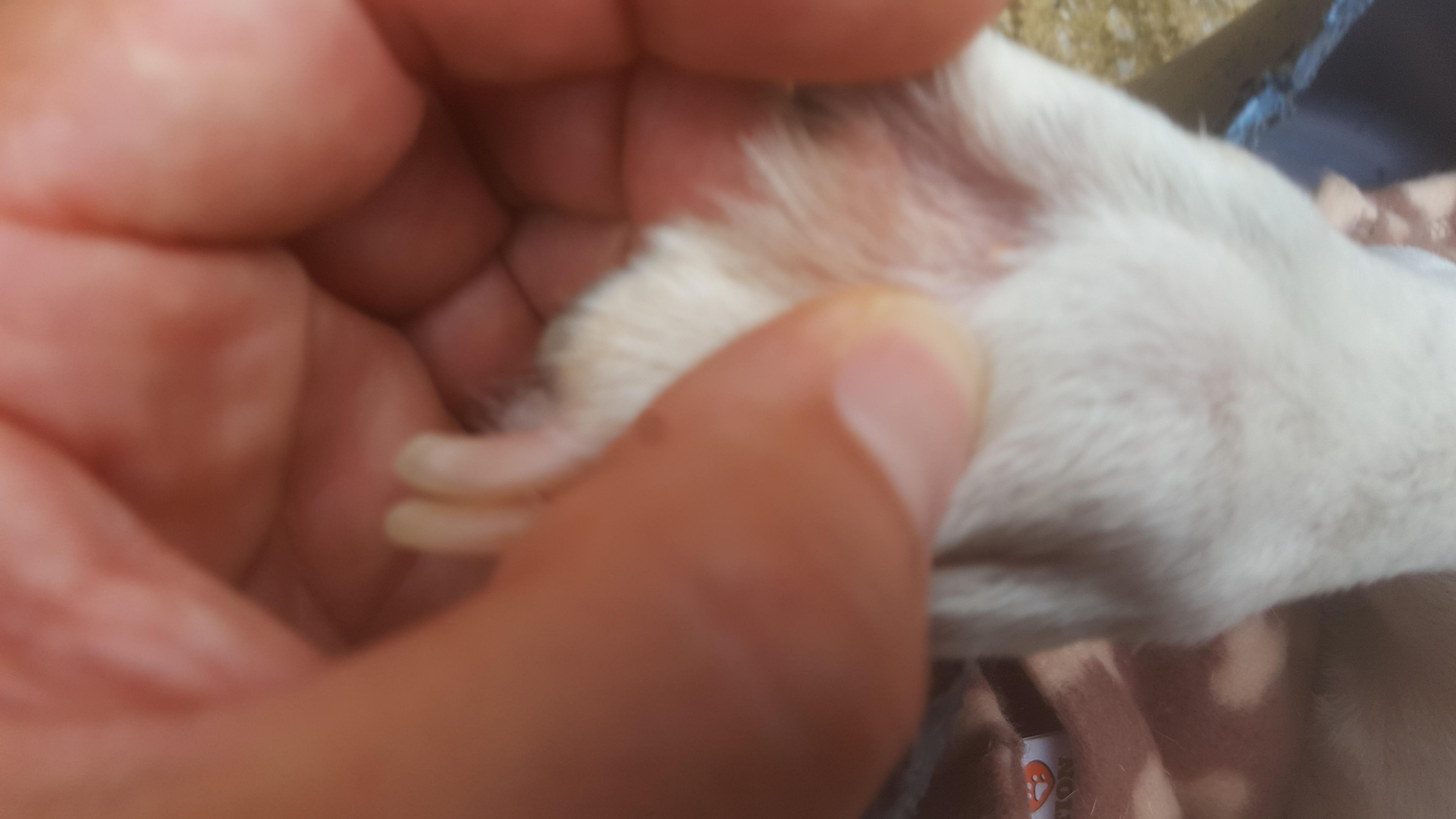 Question details sensitive content