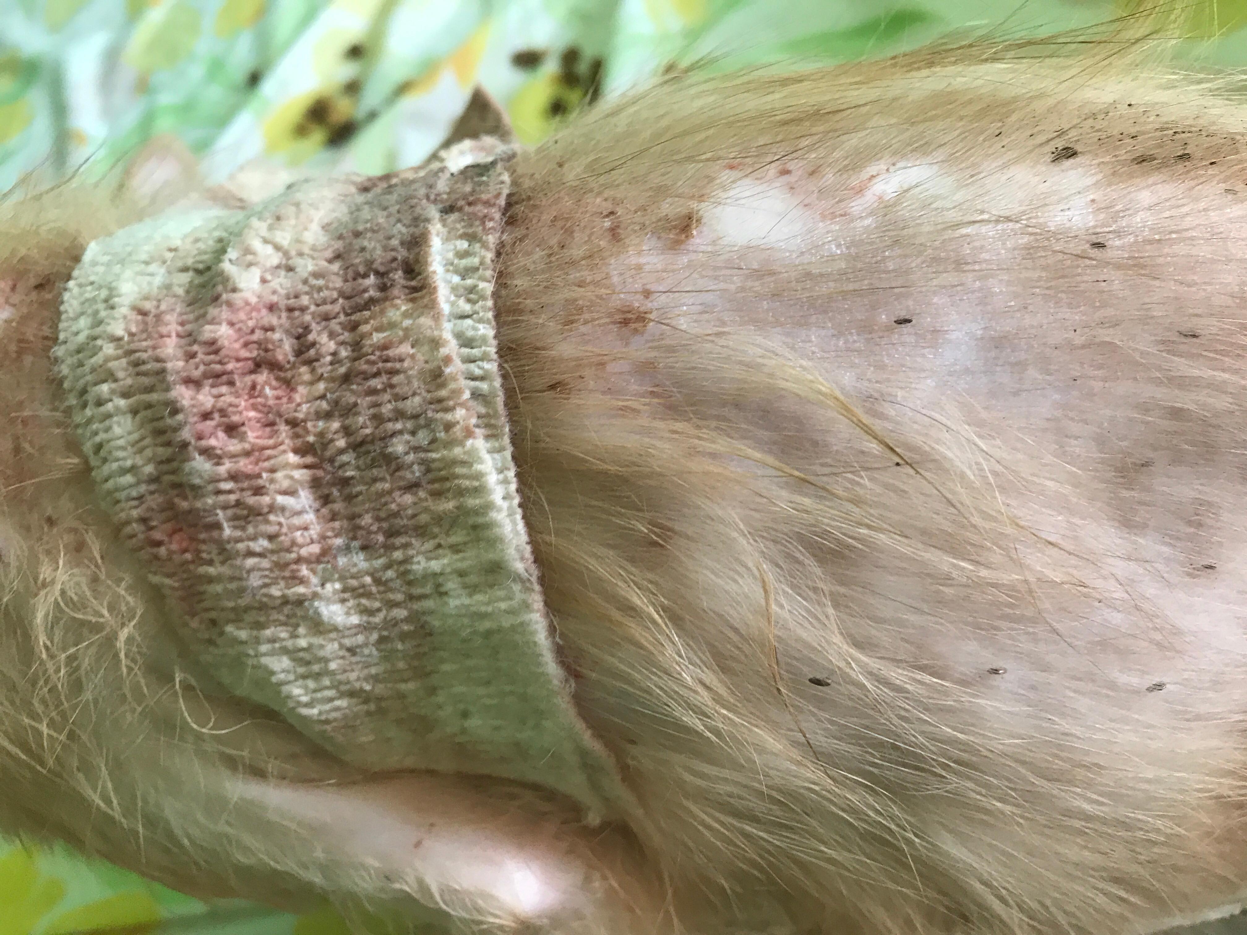 Question details sensitive content