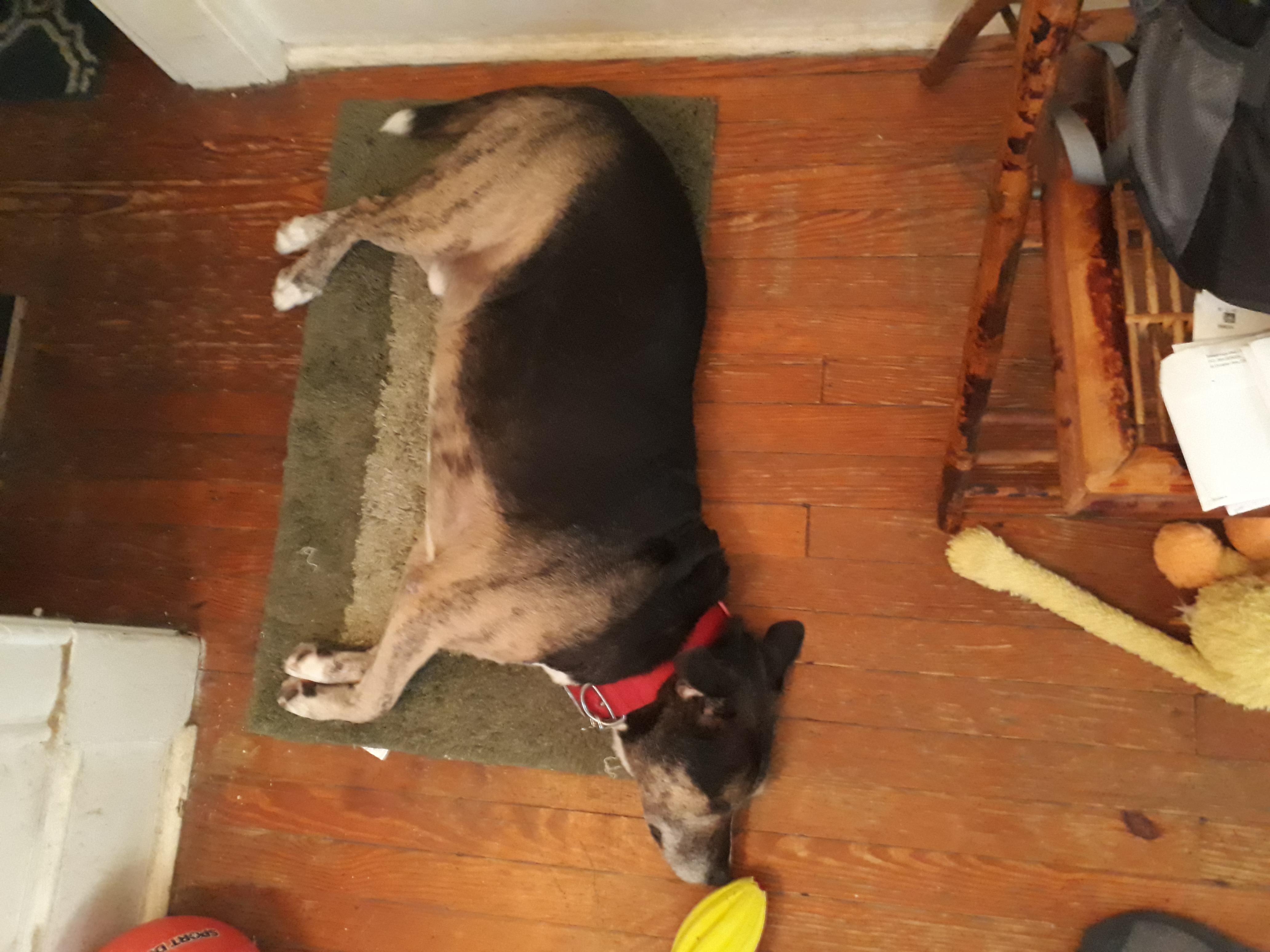 Question details sensitive content