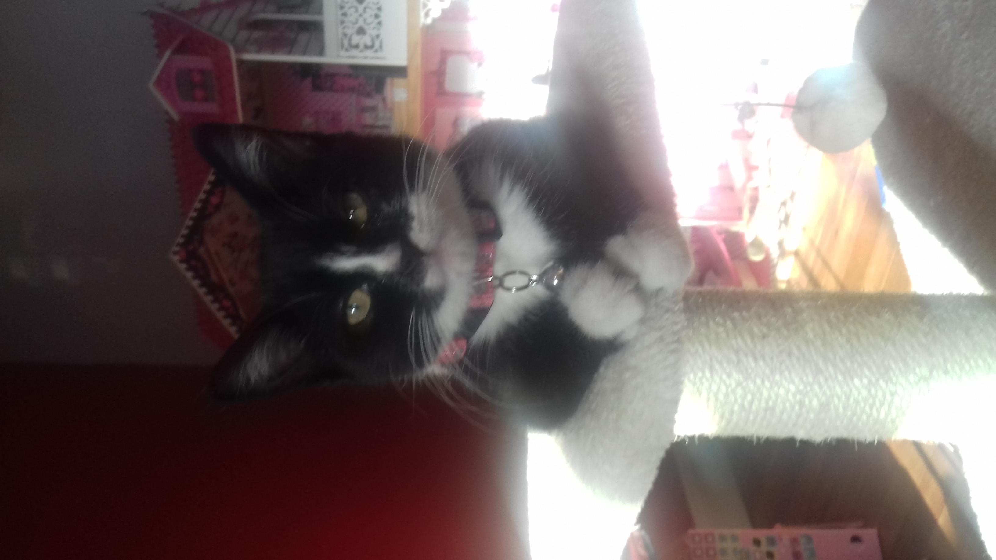 Question details sensitive content