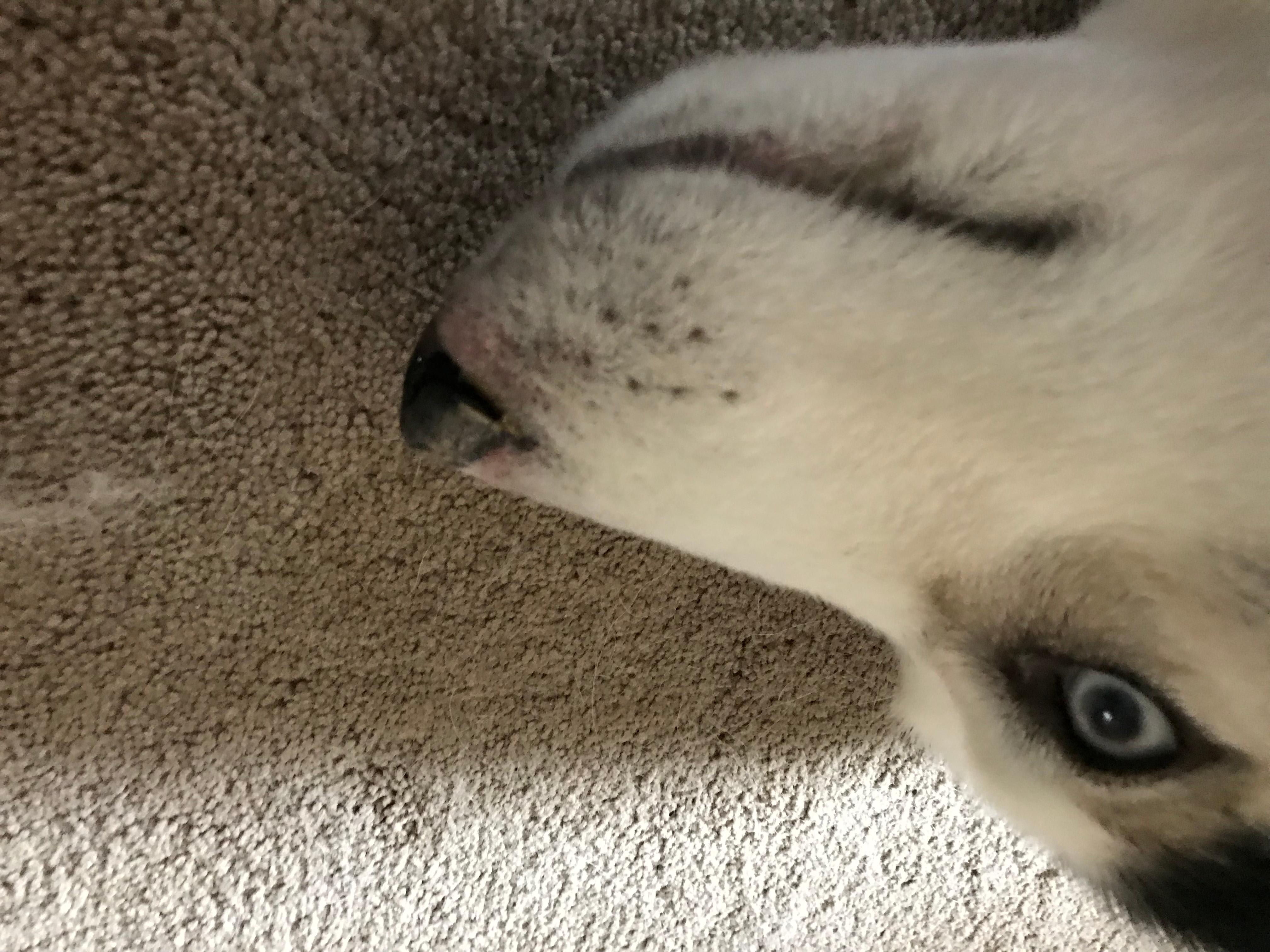 Question details sensitive content