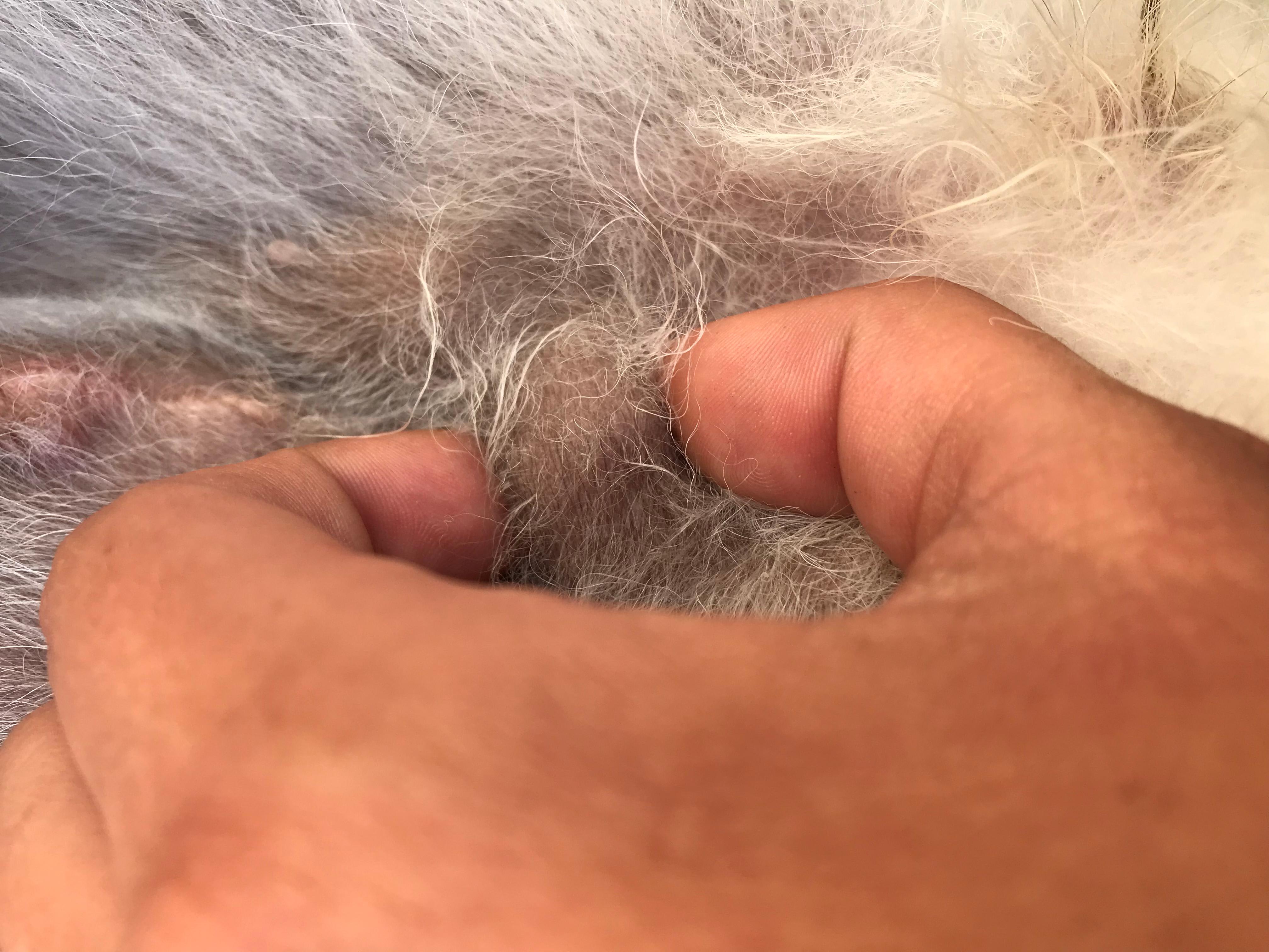 Question details sensitive content