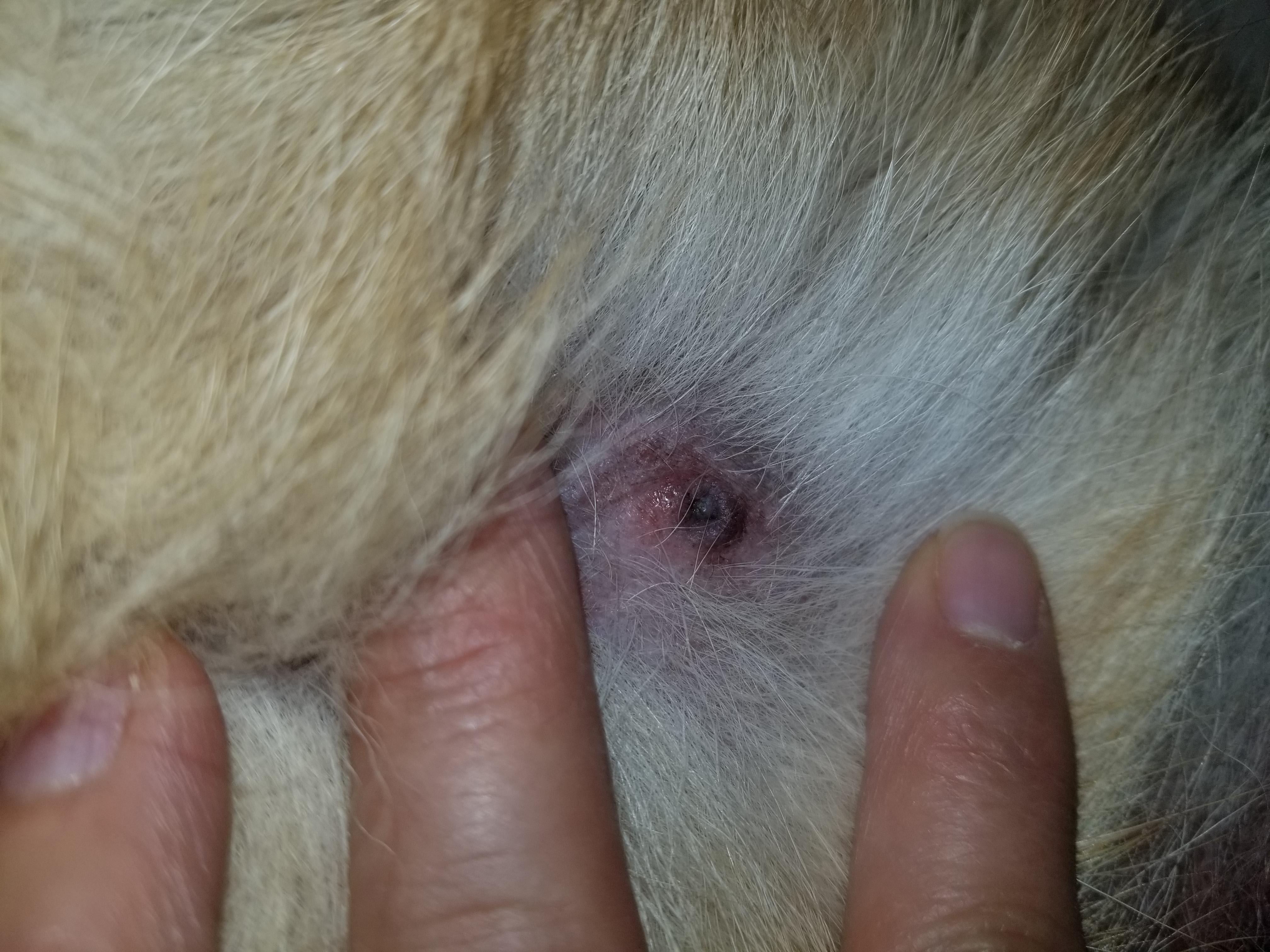 Question details sensitive content