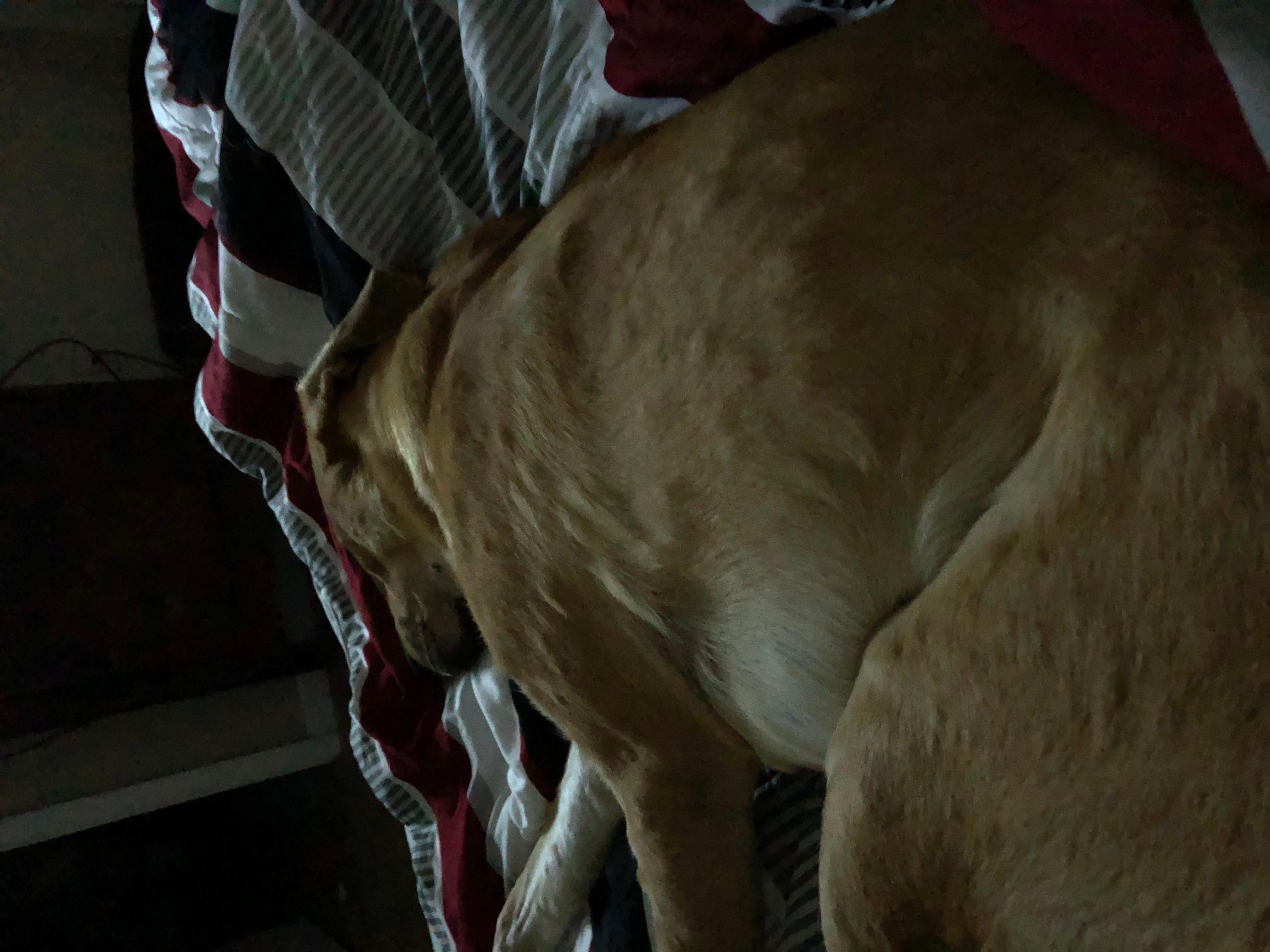 Question details sensitive content