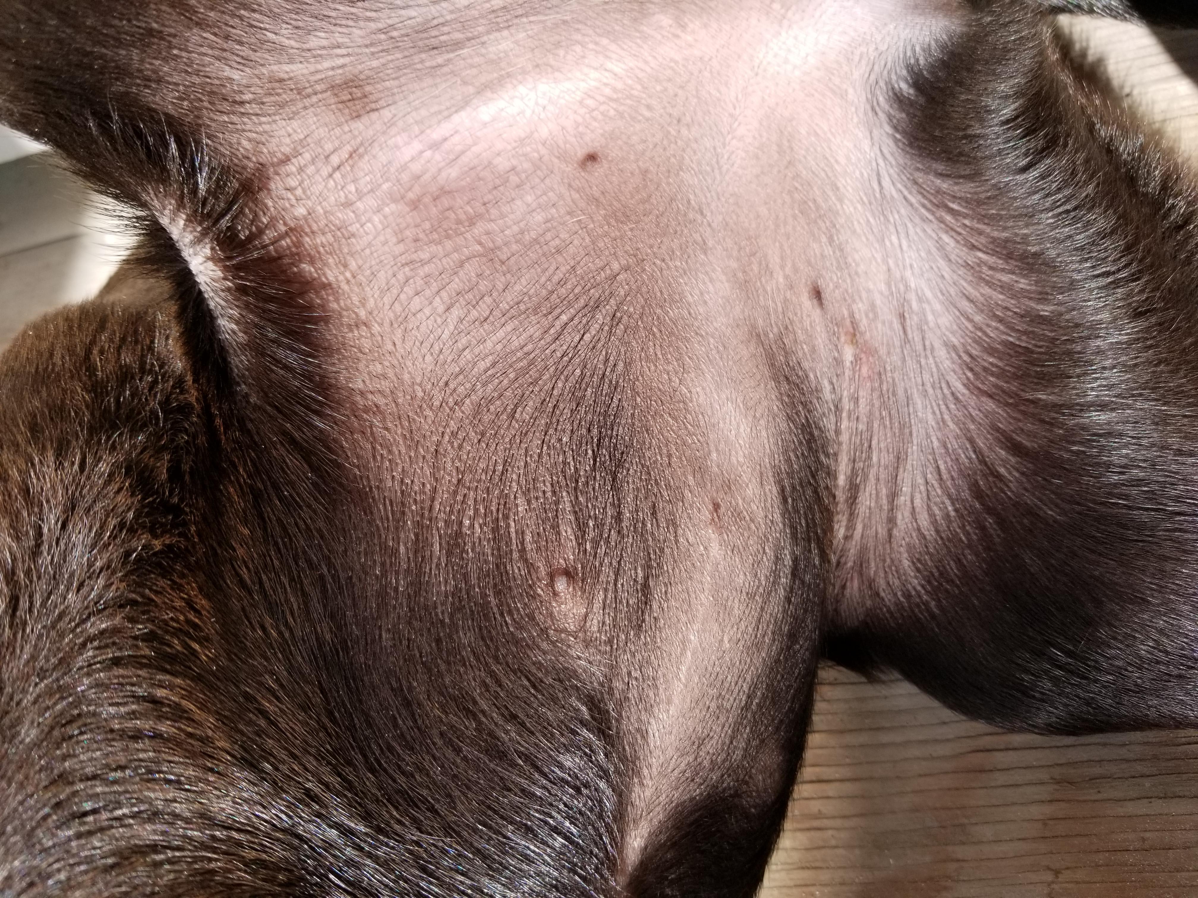 Question details sensitive content