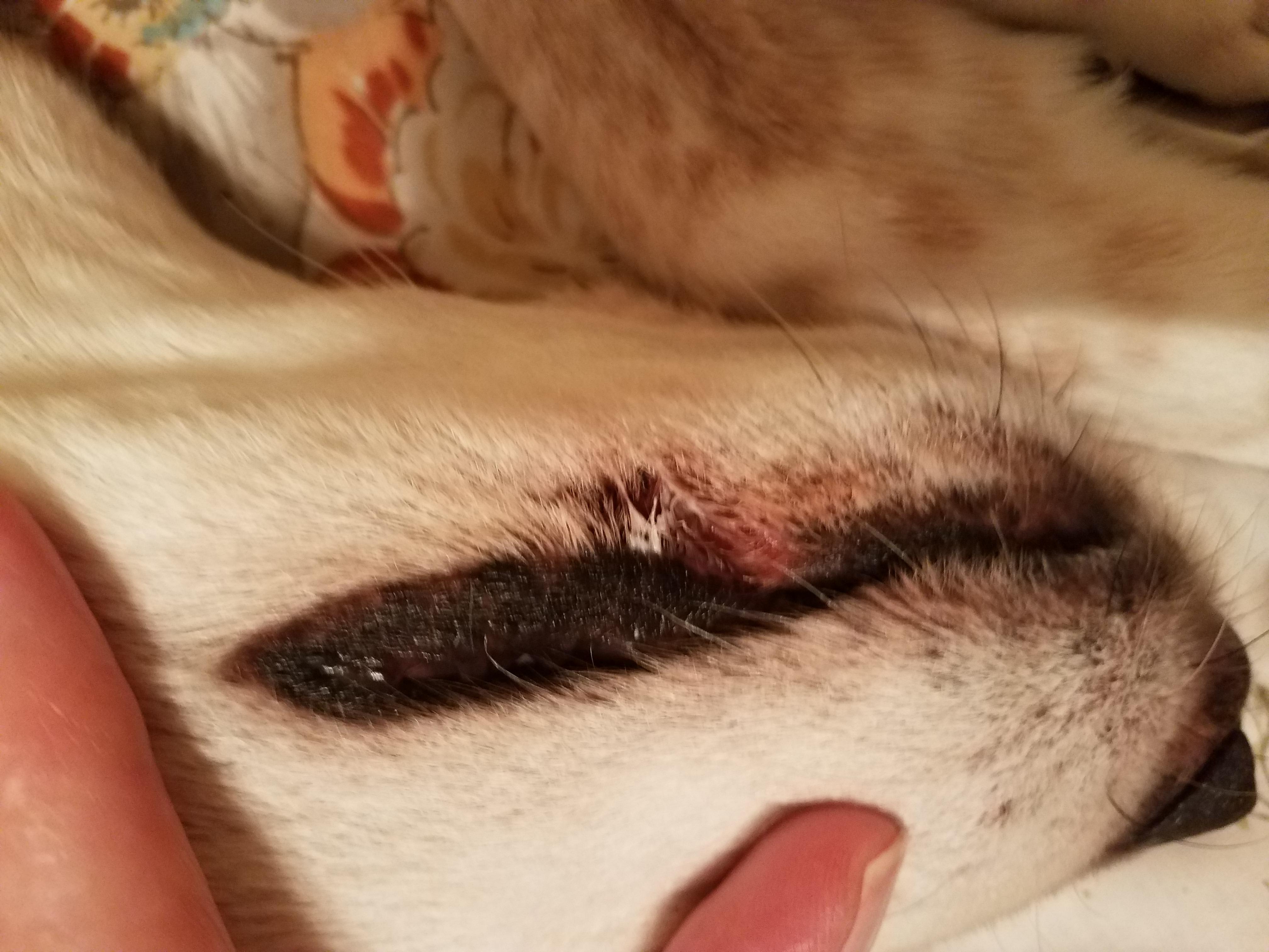 Question details sensitive content