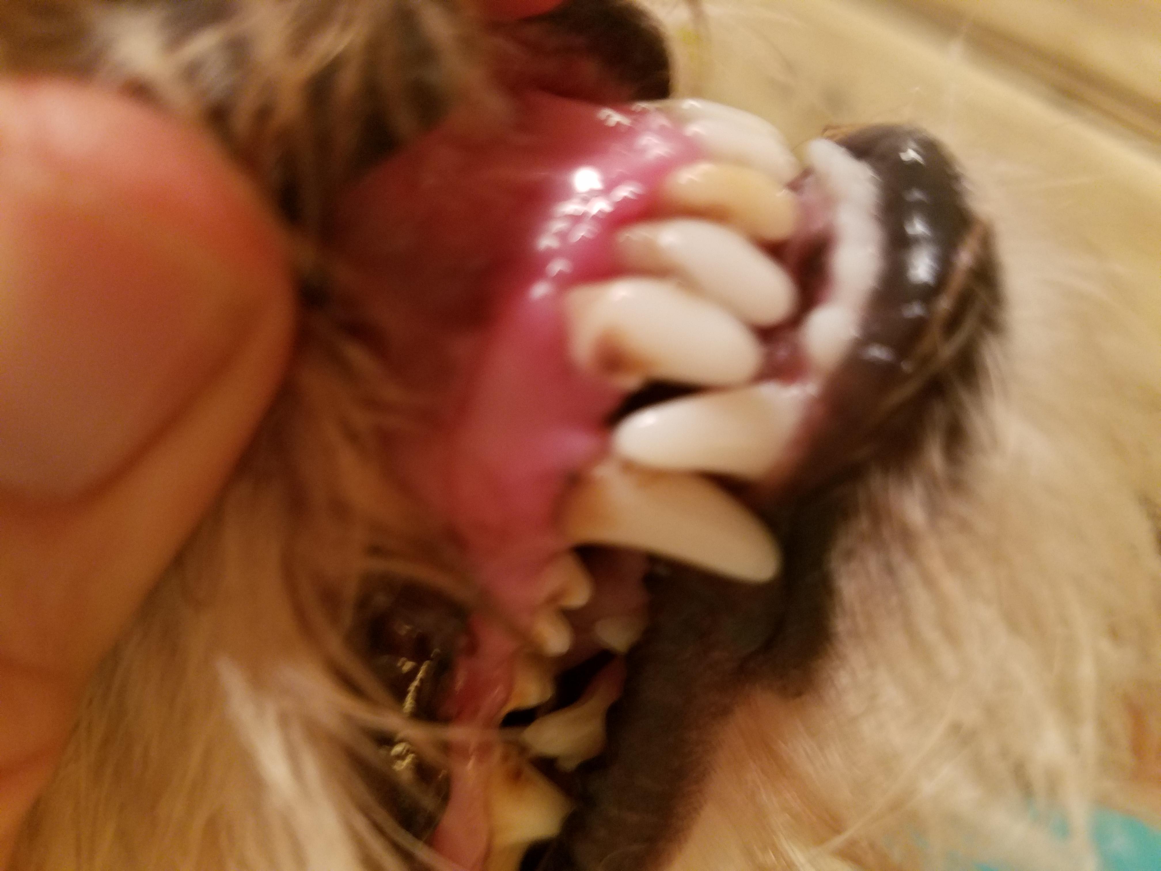 Question details sensitive content