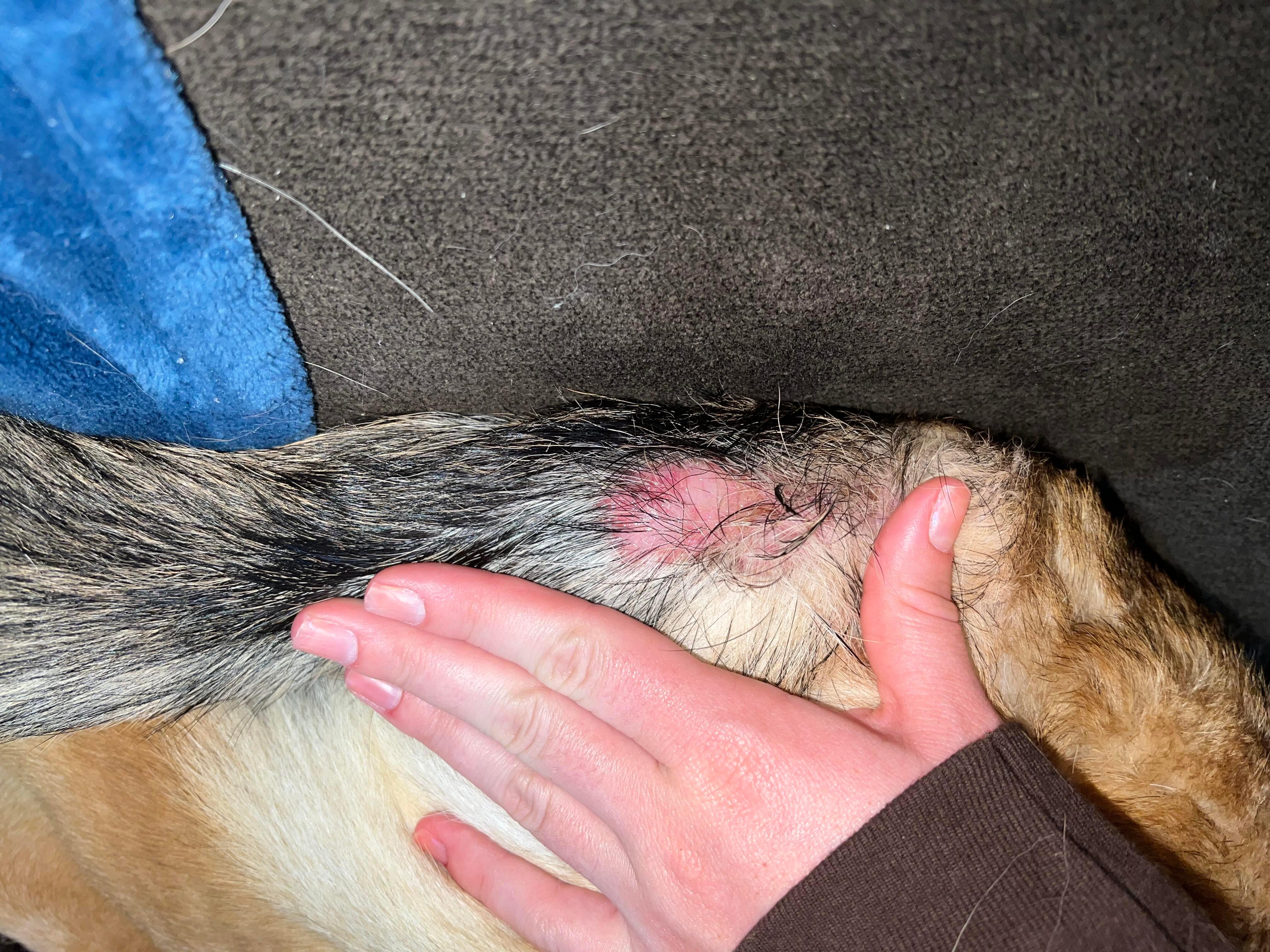 Question details sensitive content