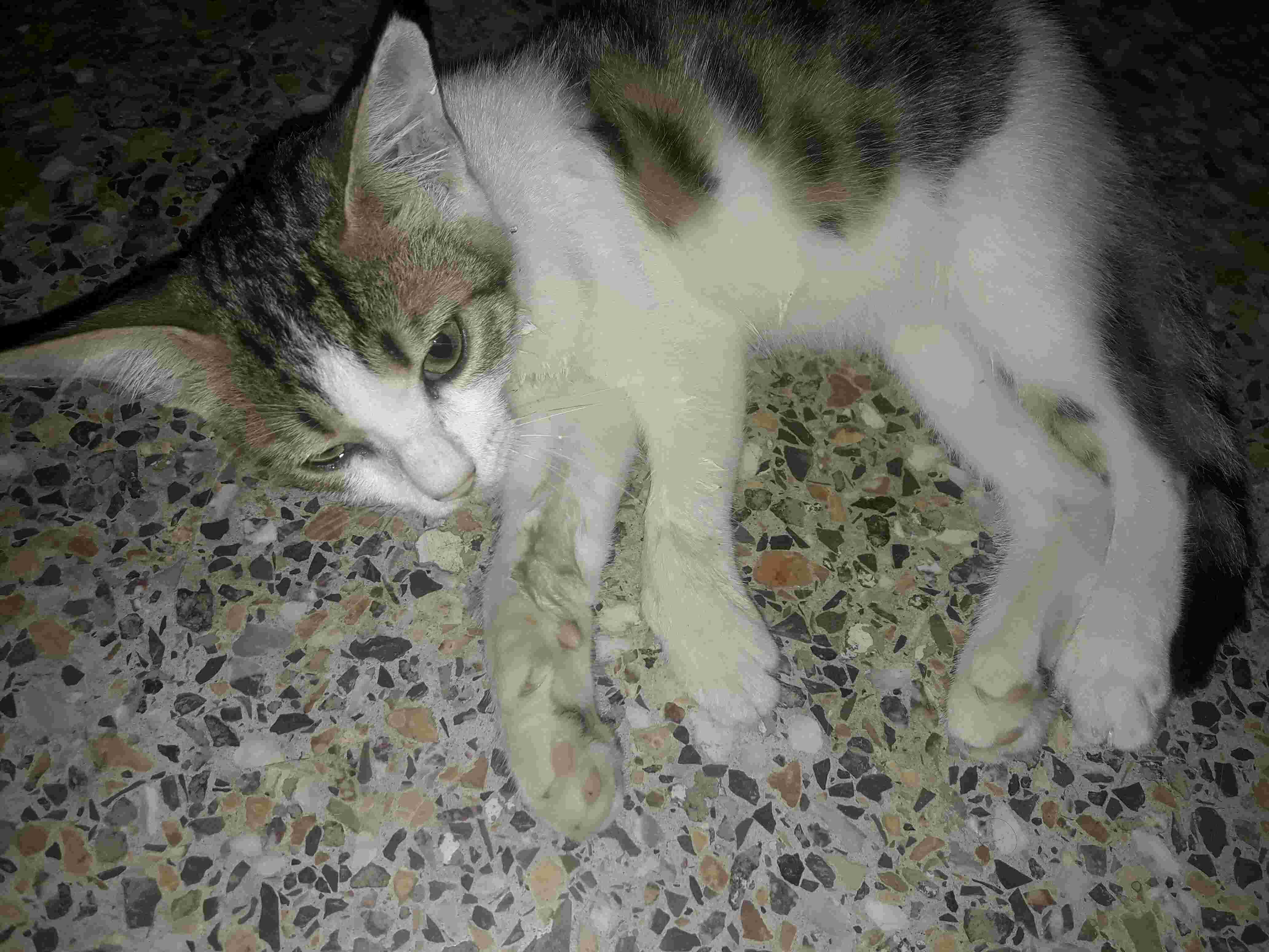 Question details sensitive content