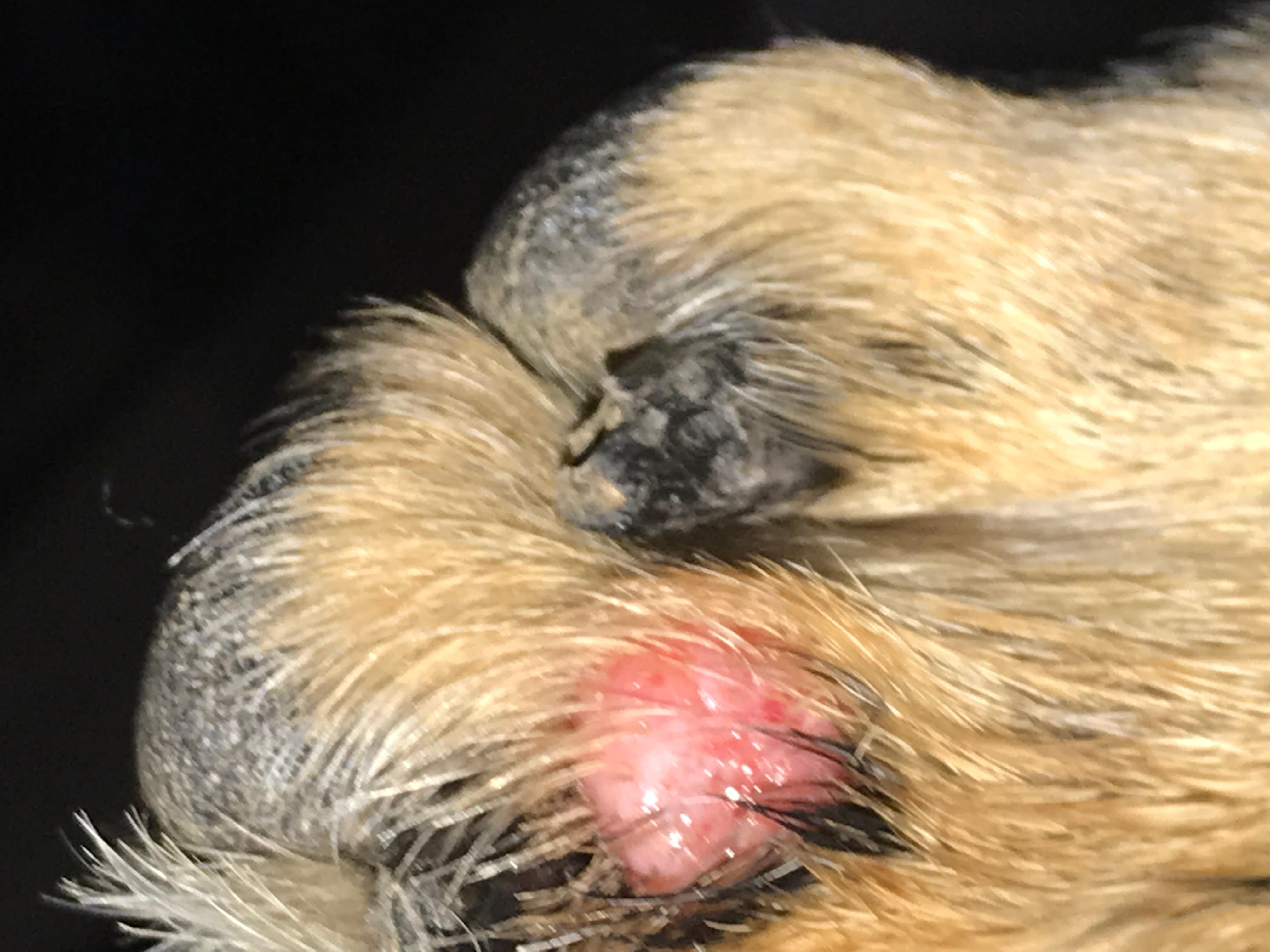 Question details sensitive content