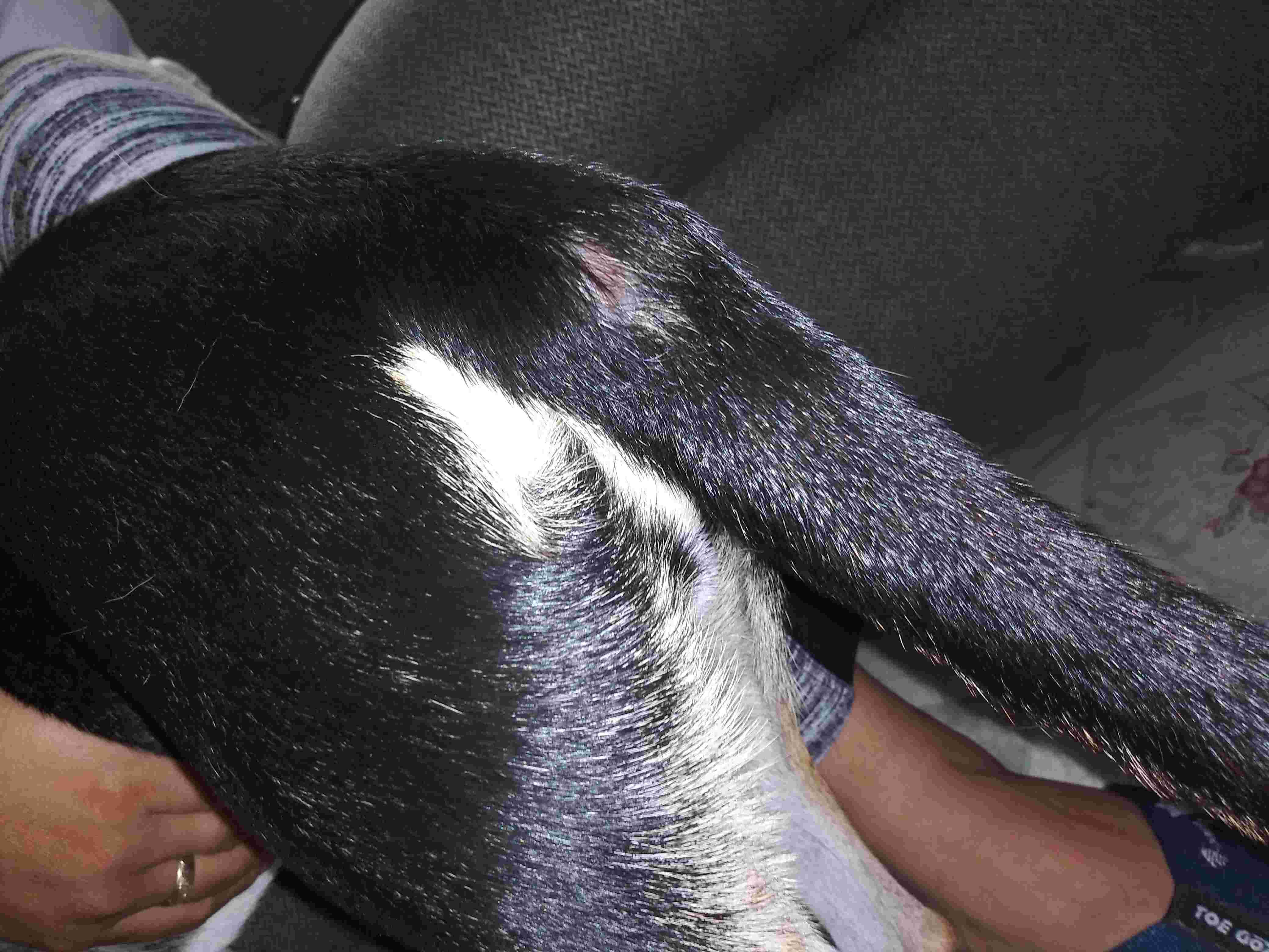 Question details sensitive content